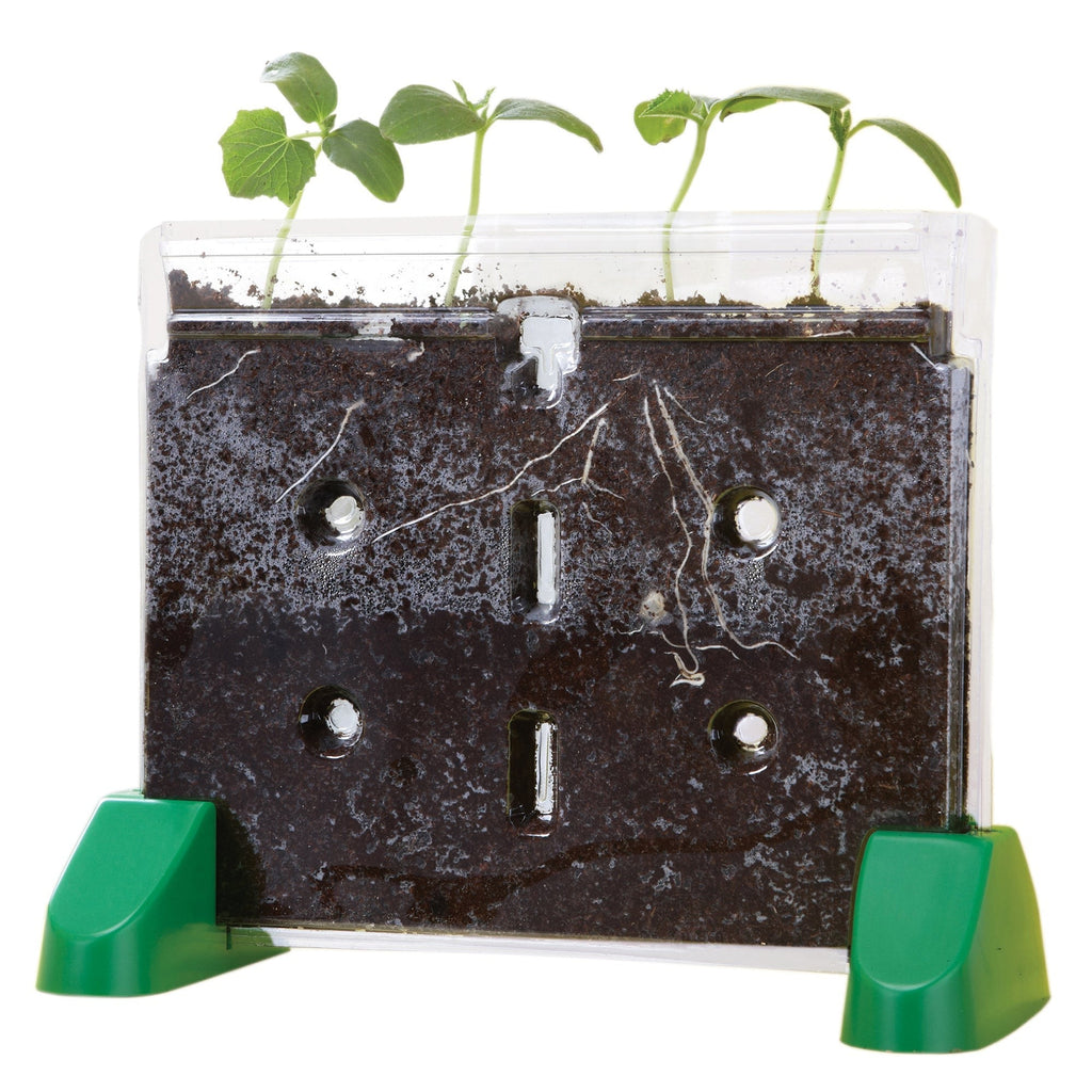 Educational Insights Sprout & Grow Window Plant Science Kit