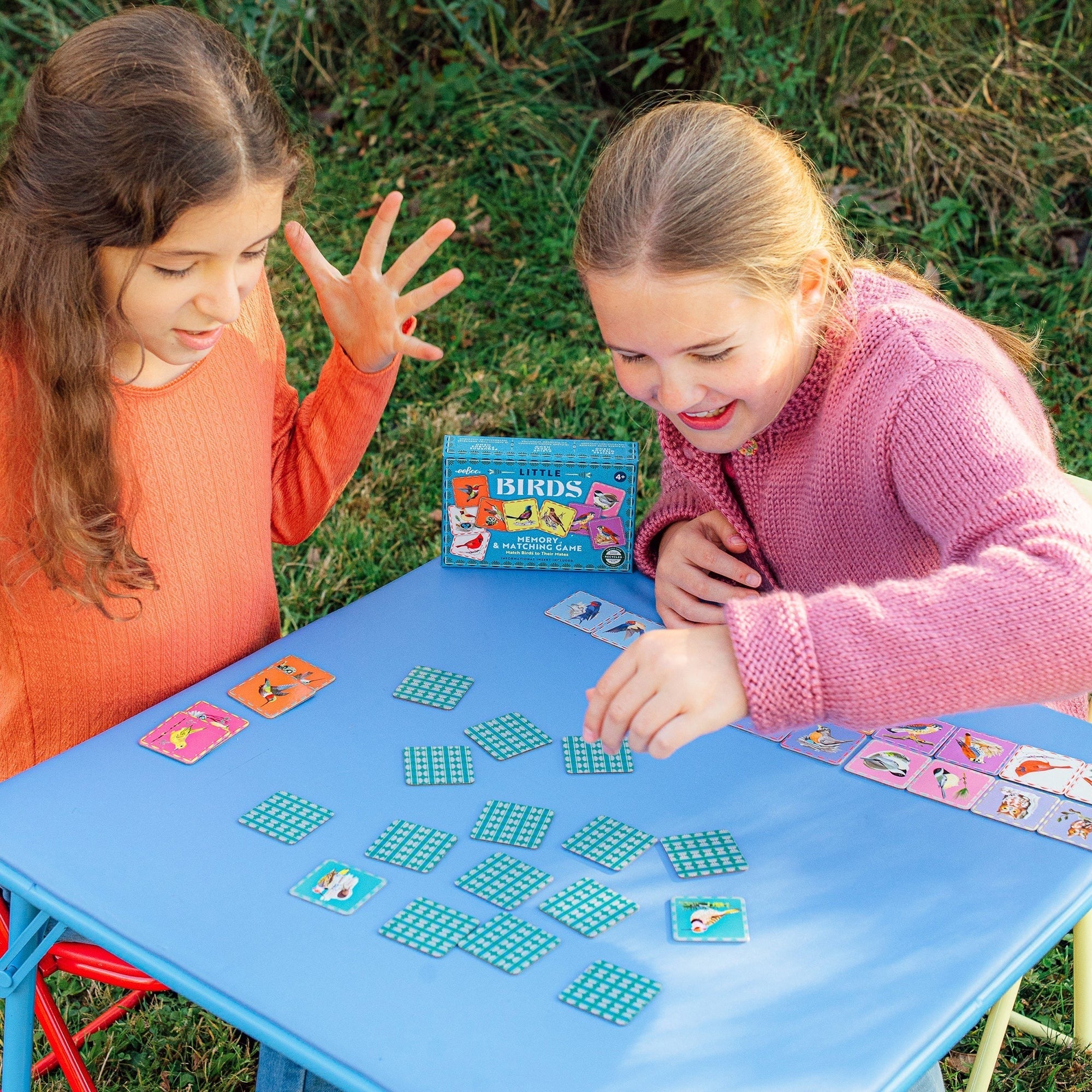 eeBoo Little Birds Memory Matching Game - 18 Illustrated Pairs