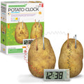 4M Green Science Potato Clock STEM Experiment Kit