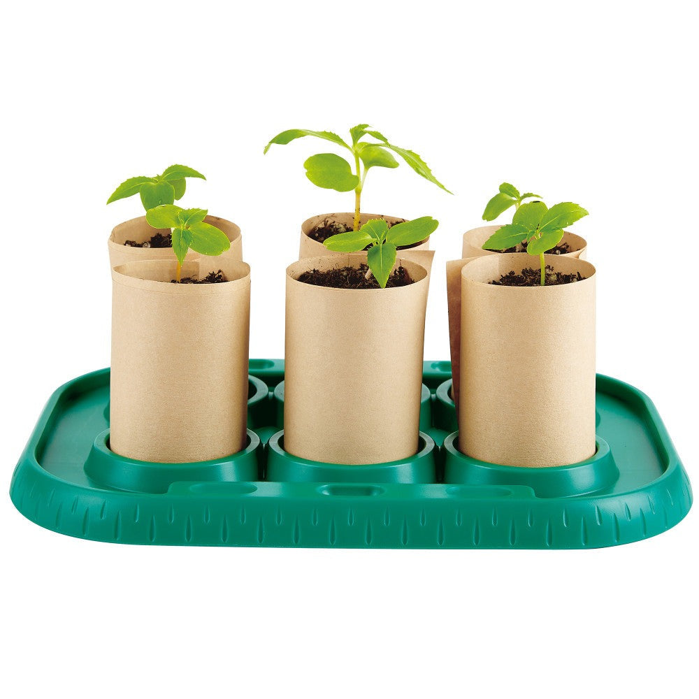 Hape Nature Fun Growing Gardeners Greenhouse Kit, Kids Ages 4+