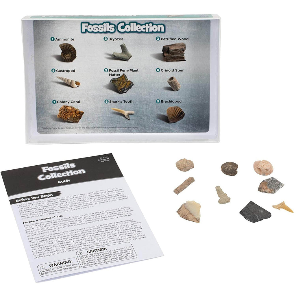 Educational Insights GeoSafari Rock and Fossil Explorer Set - 57 Pieces