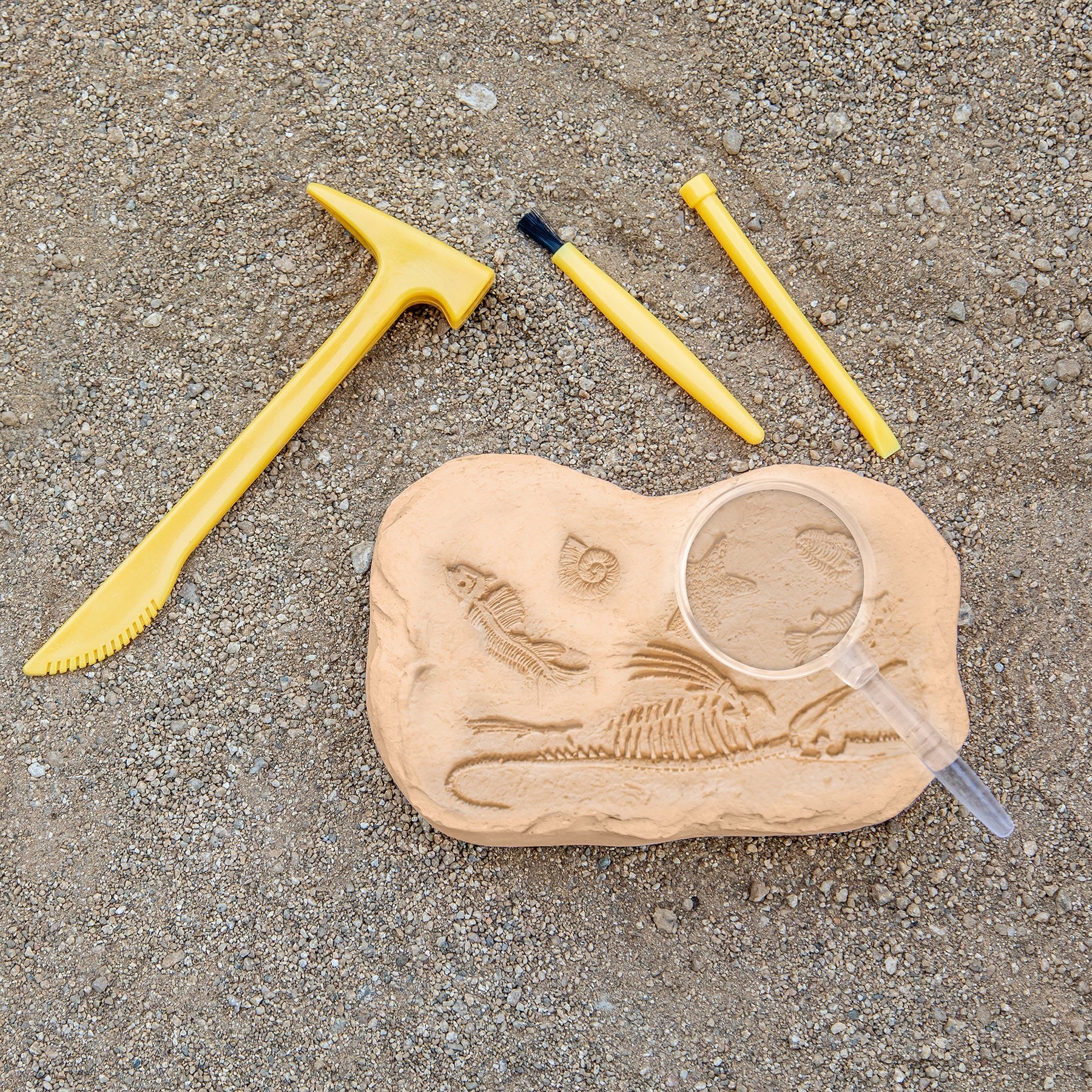 Educational Insights GeoSafari® Jr. Fossil Excavation Kit