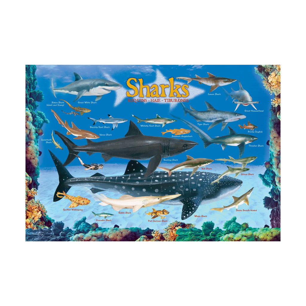 Smart Kids Collection Sharks 100-Piece Educational Jigsaw Puzzle