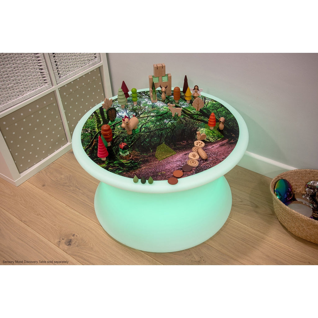 TickiT Forest Discovery Play Mat - Enchanted Woodland Theme