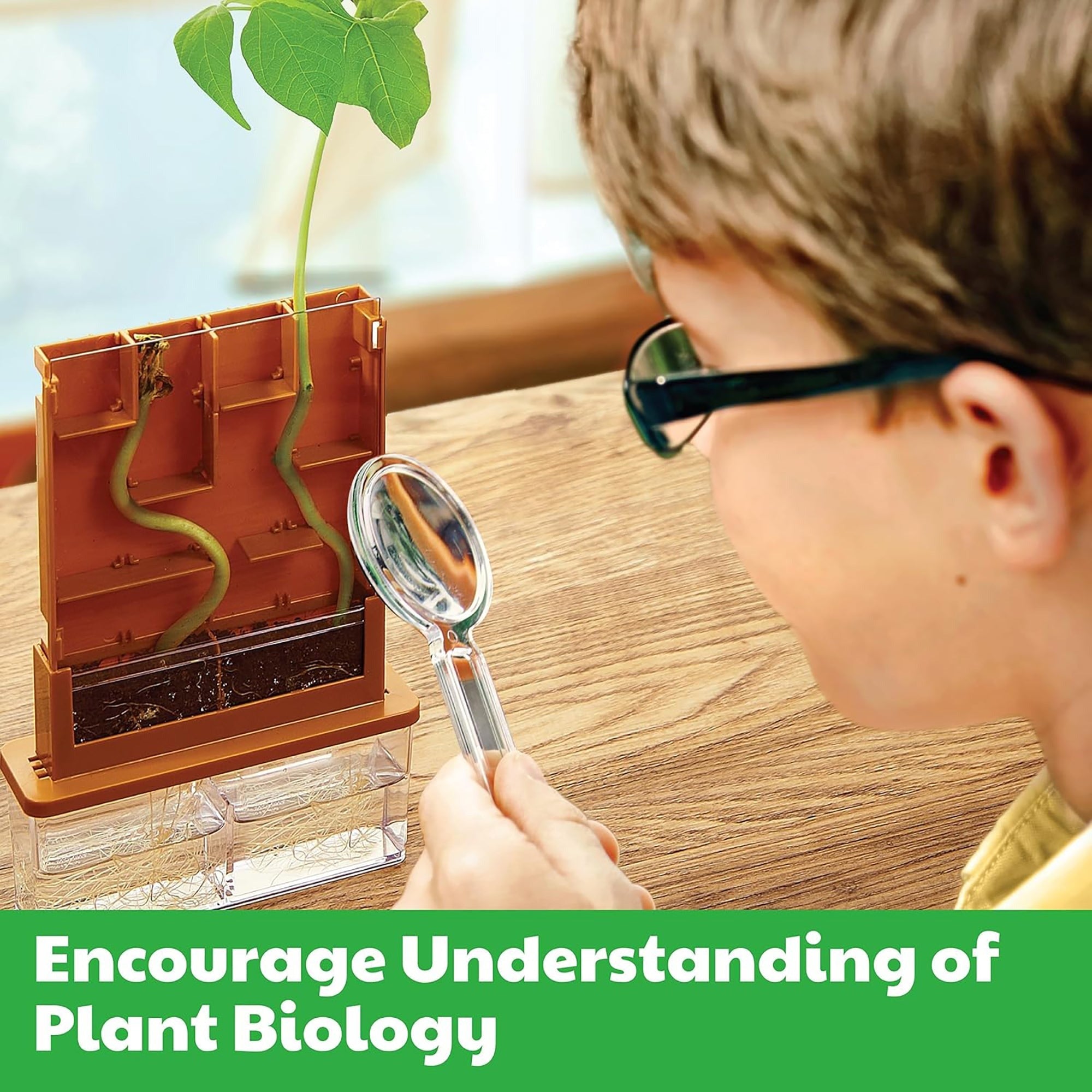 Green Science Grow-A-Maze Plant Biology Experiment Kit