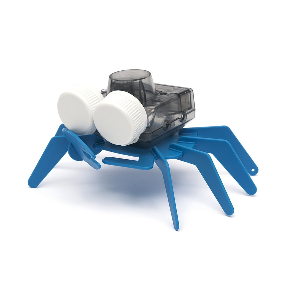 Playsteam Ocean Friends Battery-Powered Sea Turtle & Crab Kit