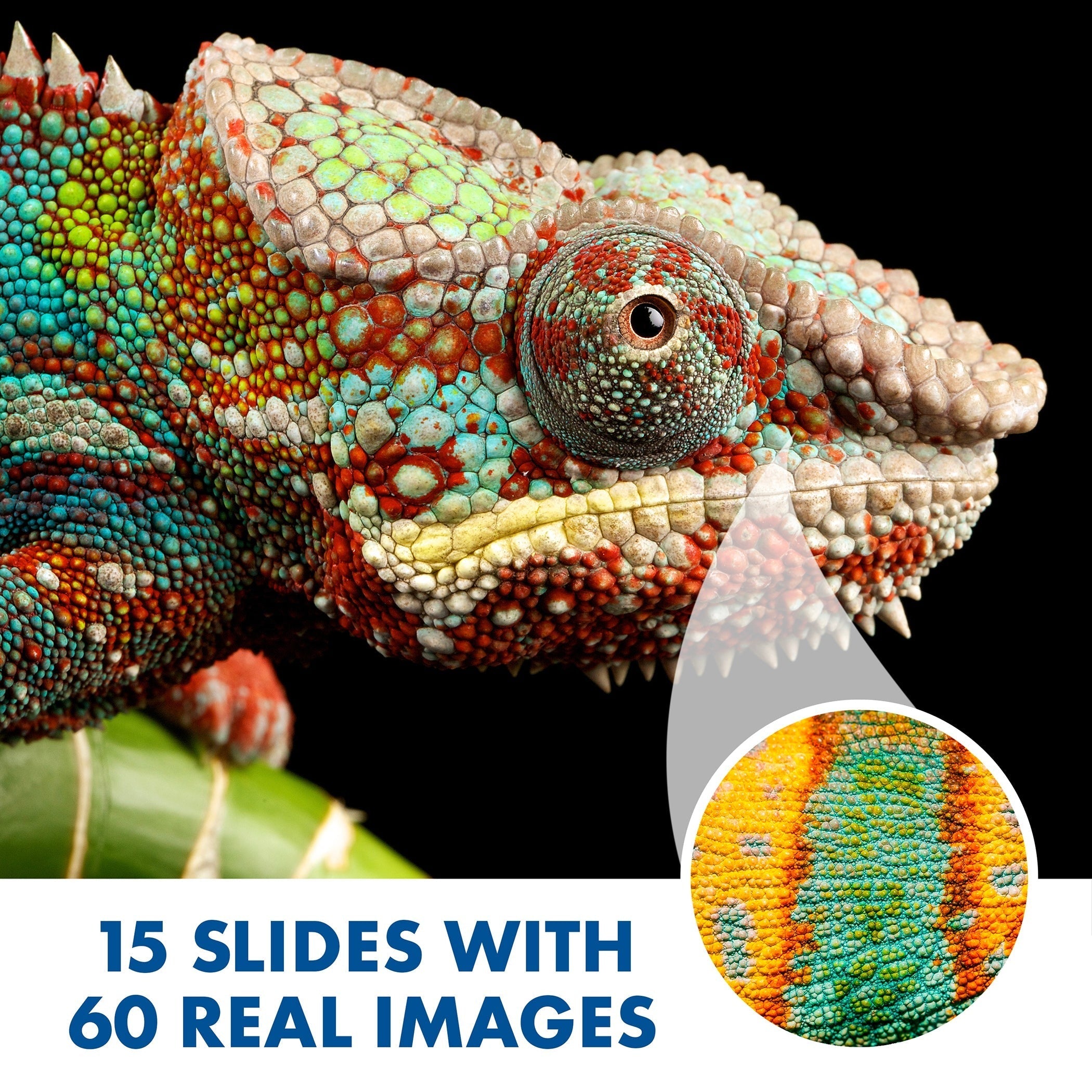 Educational Insights GeoSafari® Jr. KidscopeTM