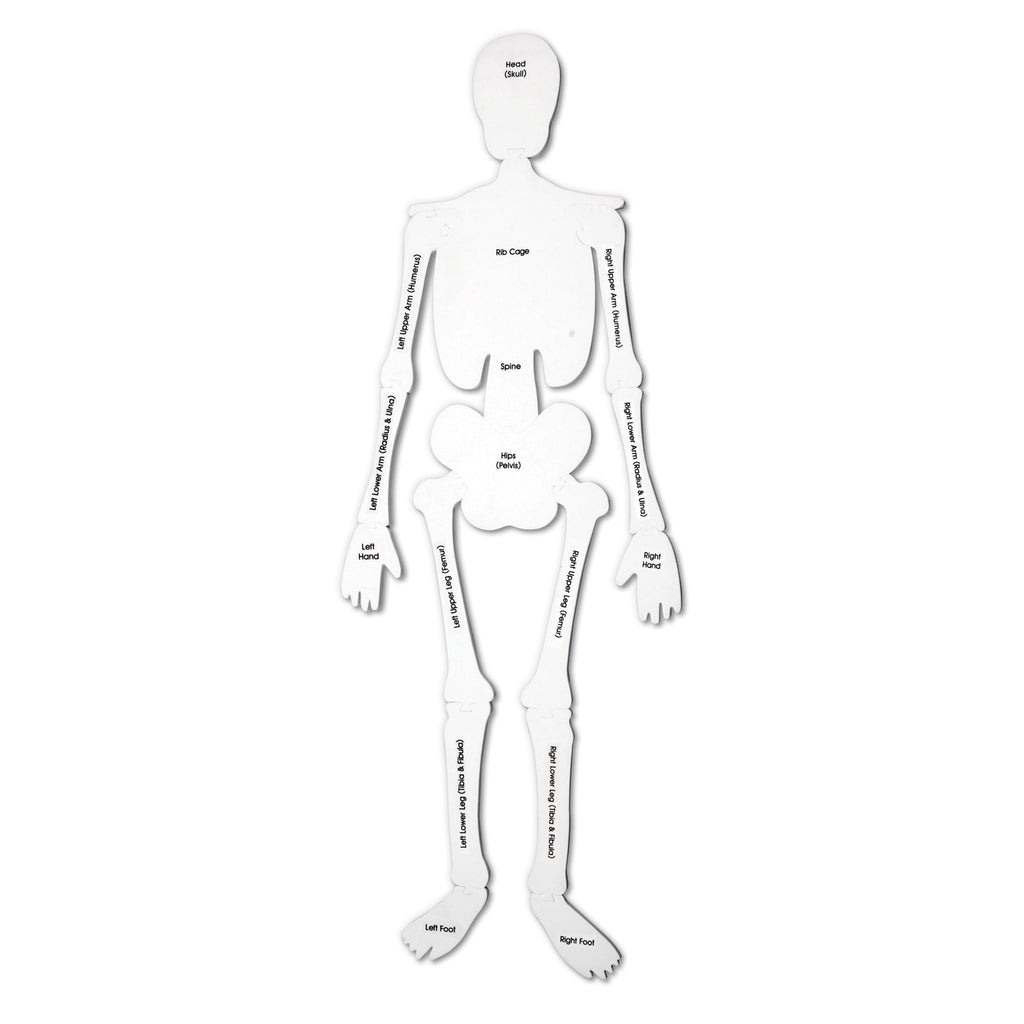 Learning Resources Skeleton Foam Floor Puzzle - Human Anatomy Educational Toy
