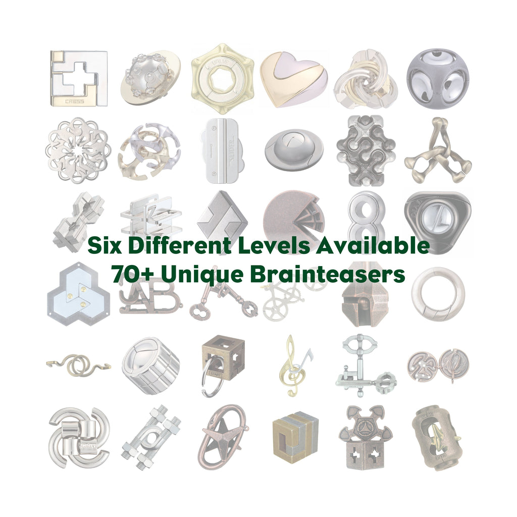 Hanayama Level 4 Cast Puzzle - Planet: Stellar Brain Teaser