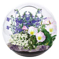 Unique Gardener Mini Fairy Triad Glass Terrarium Kit