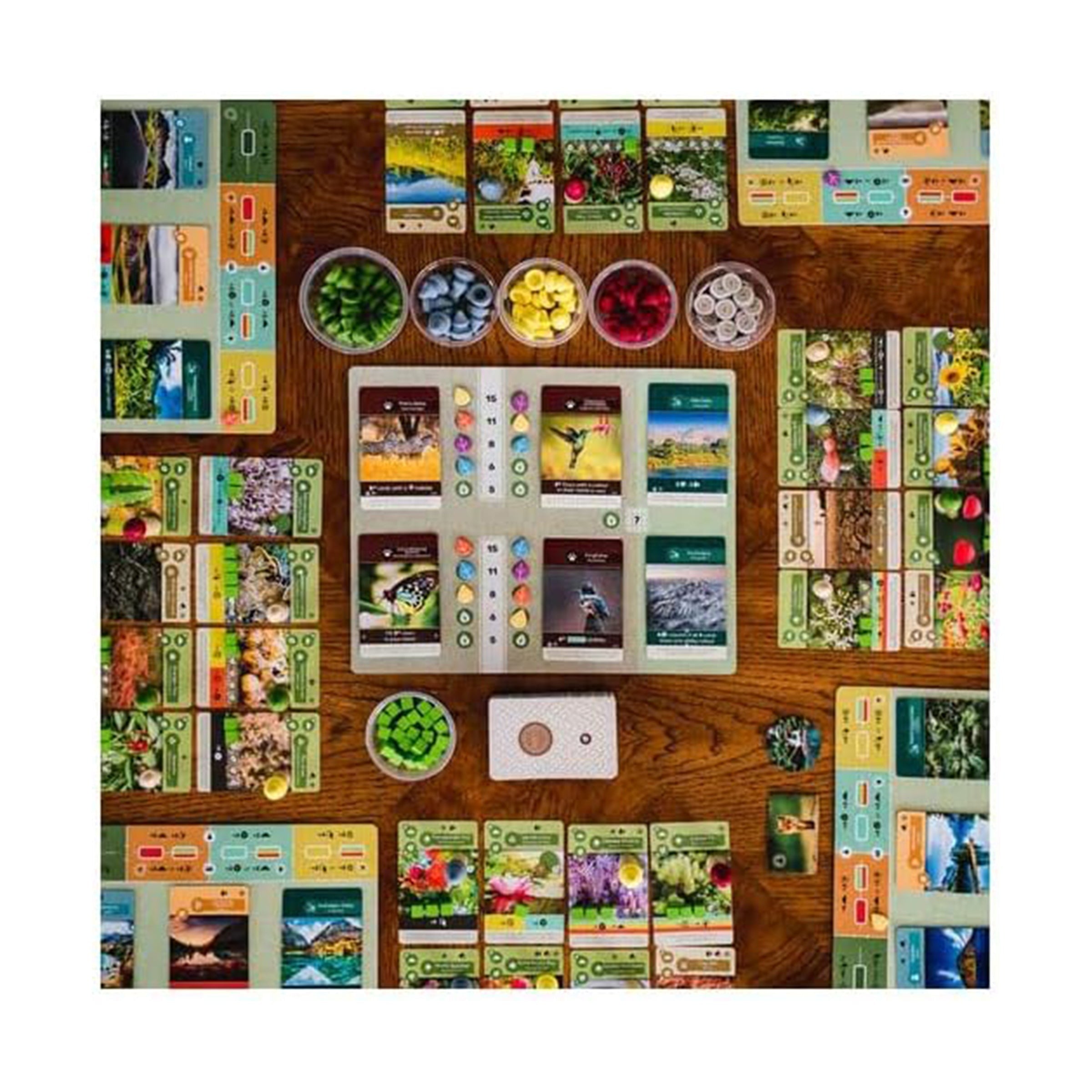 Earth Tableau Builder Strategy Board Game
