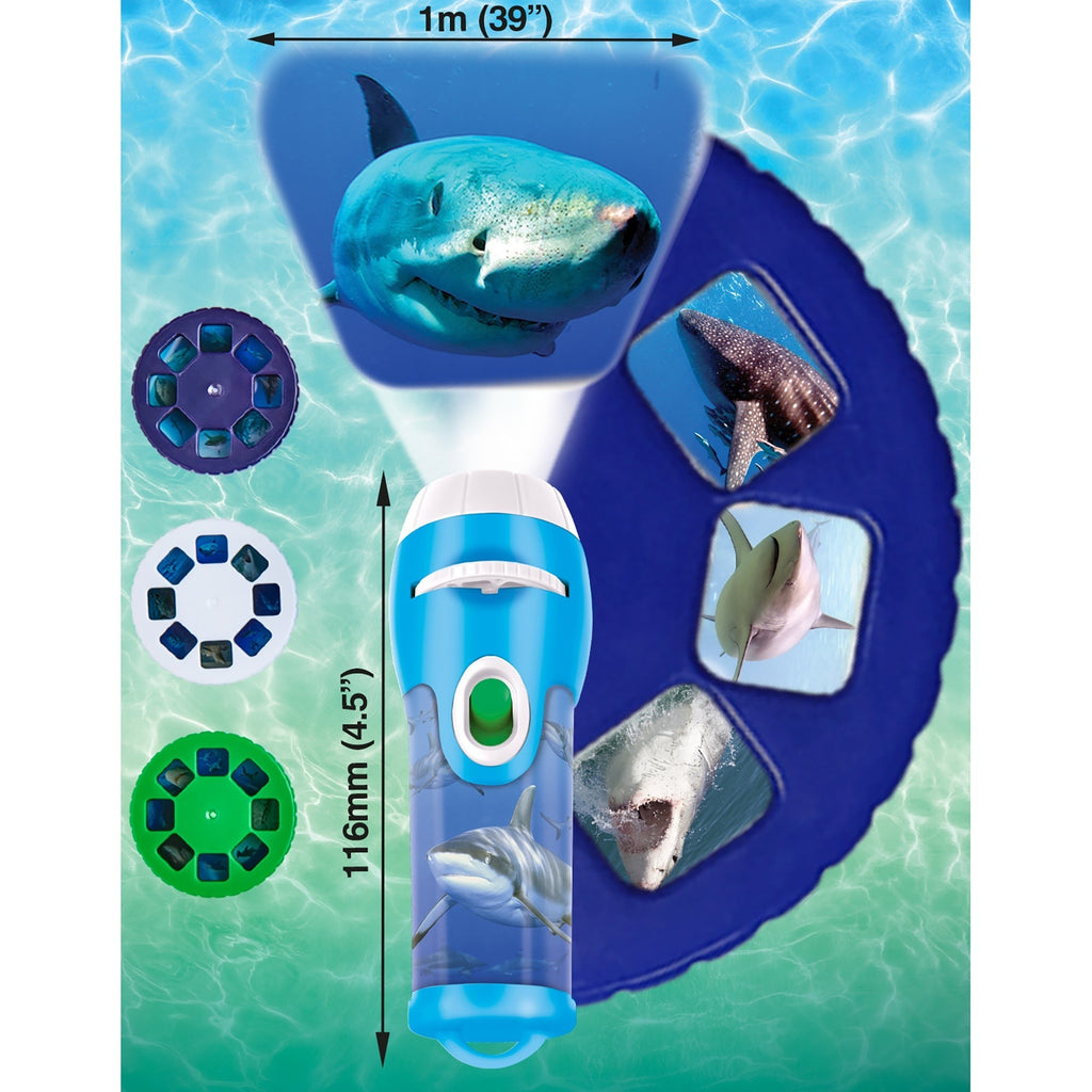 Brainstorm Toys Shark Torch & Projector - Marine Exploration - Ages 3+