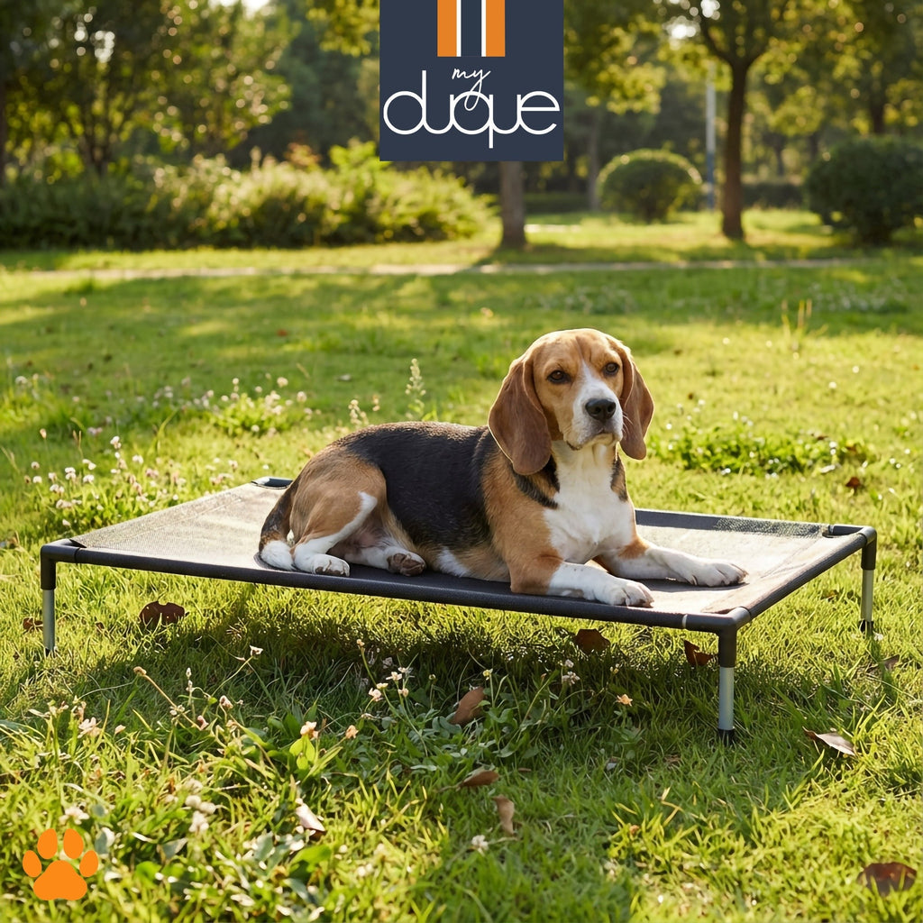 My Duque COOLA Elevated Dog Bed - Large, 35.5 x 23.5", Breathable Mesh, 55lb Capacity