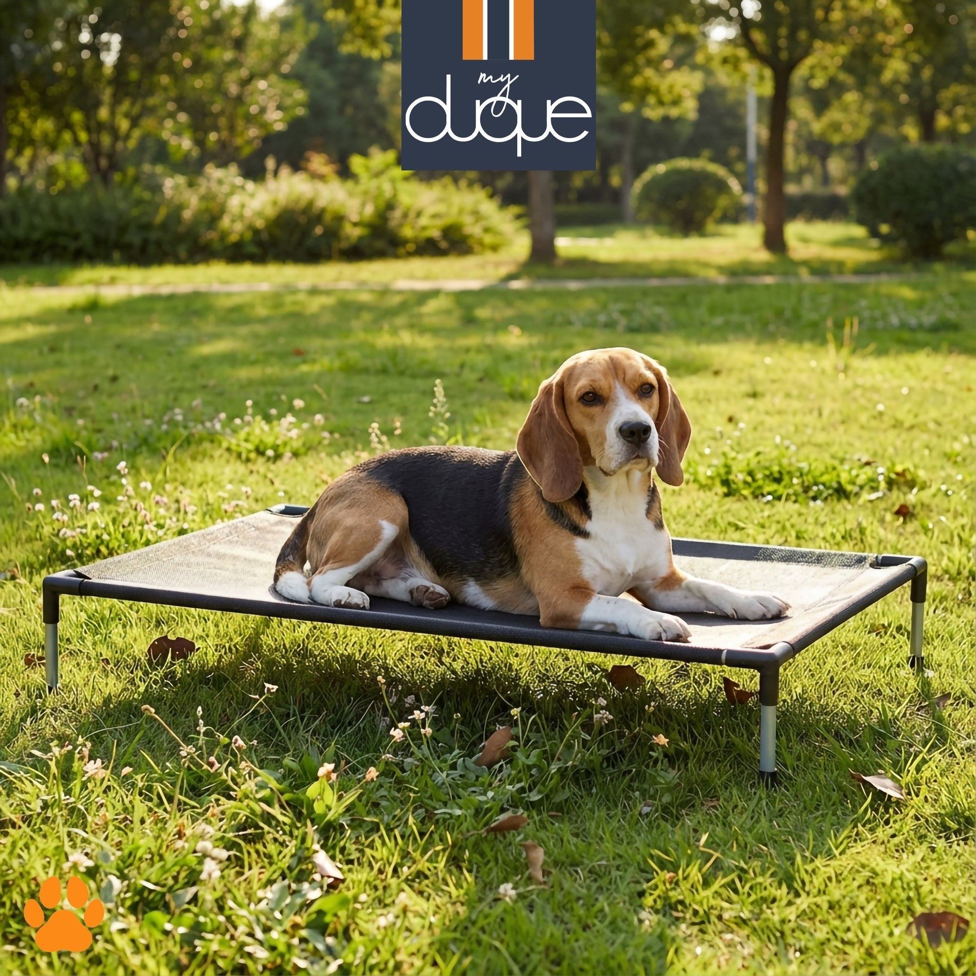 My Duque COOLA Elevated Dog Bed - Large, 35.5 x 23.5", Breathable Mesh, 55lb Capacity