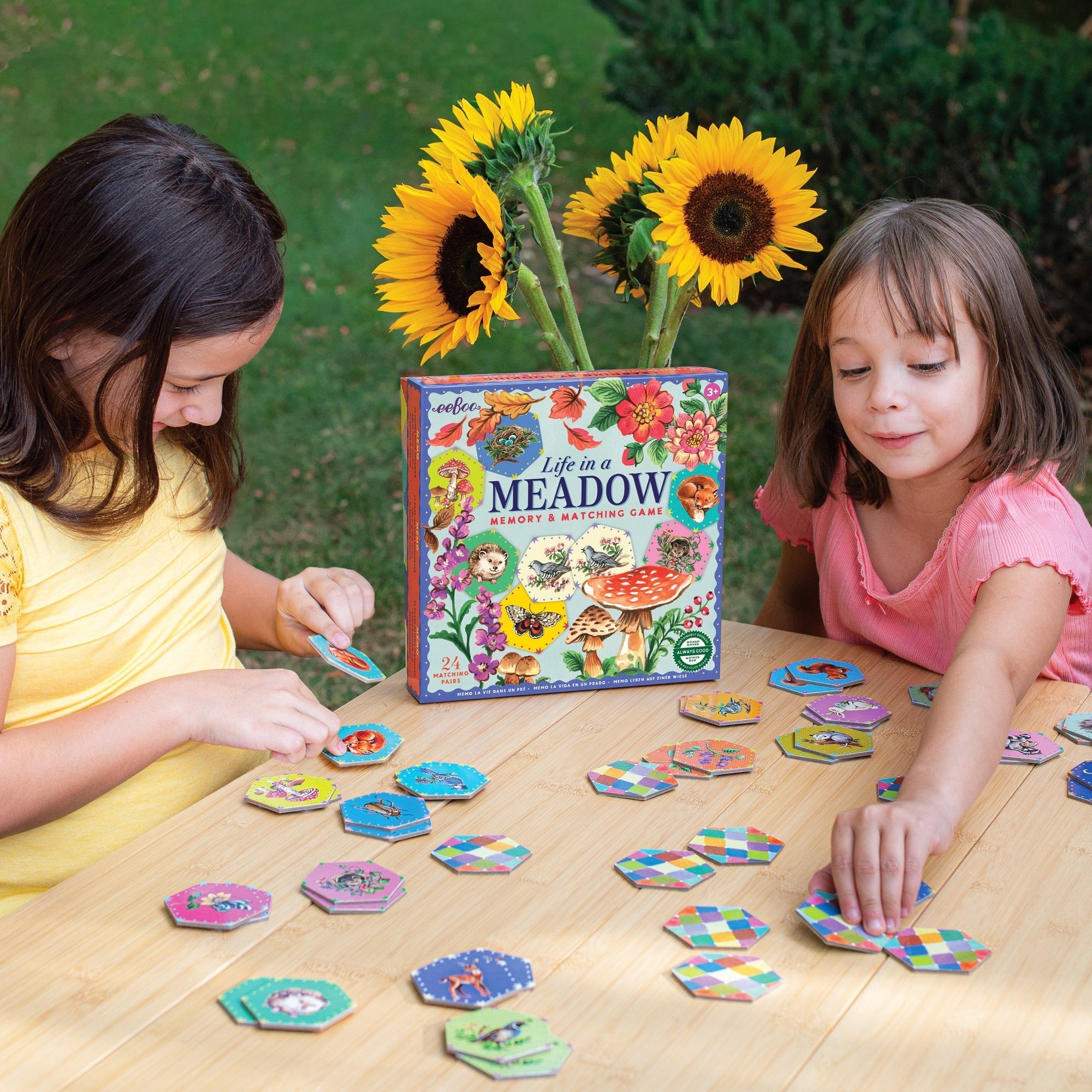 eeBoo Life In A Meadow Memory & Matching Game With 24 Hexagonal Tiles