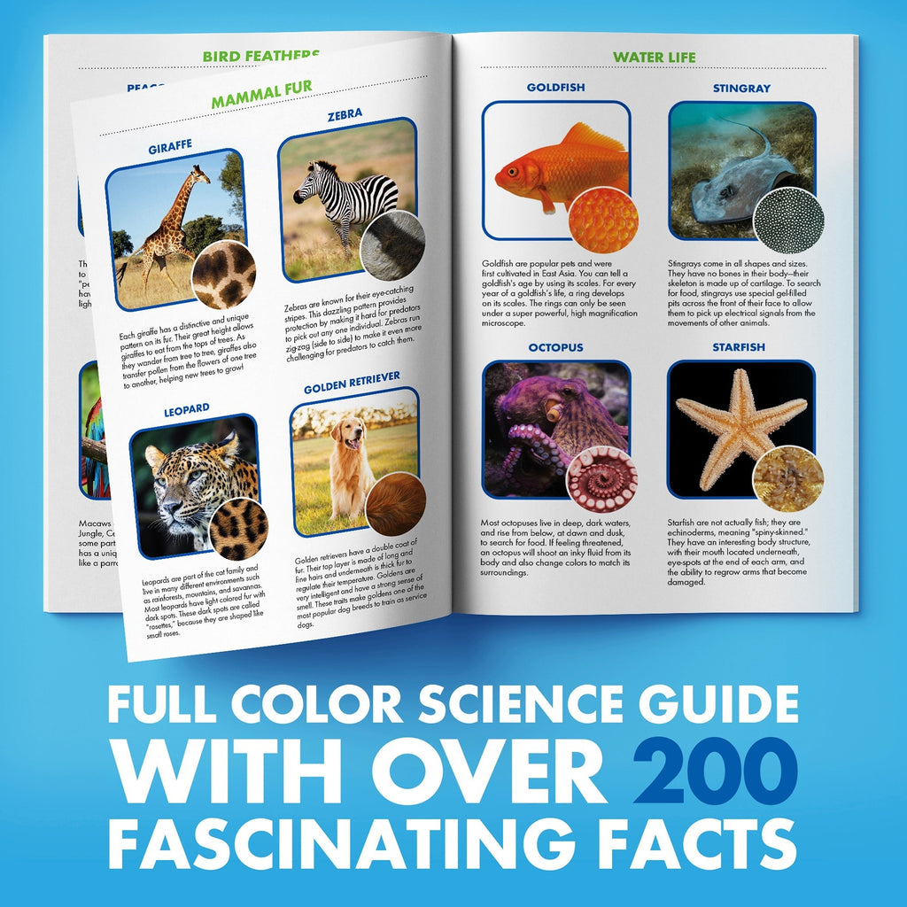Educational Insights GeoSafari® Jr. KidscopeTM