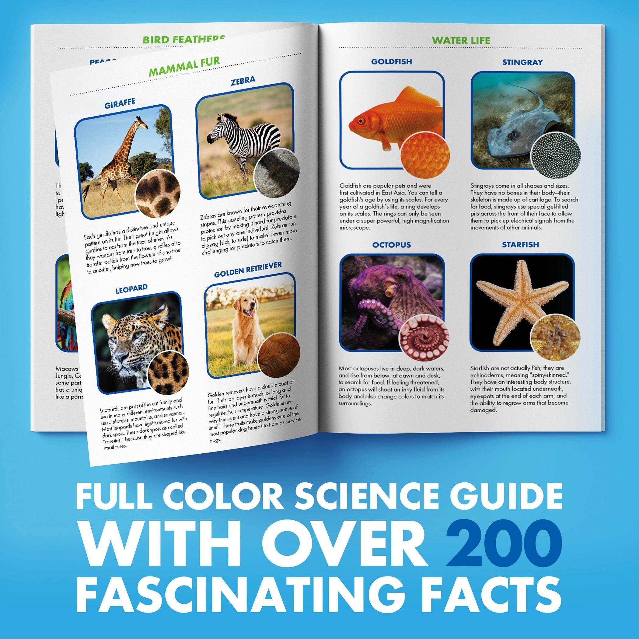 Educational Insights GeoSafari® Jr. KidscopeTM