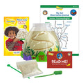 Insect Lore Ant Hill Ant Habitat – Interactive Science Kit