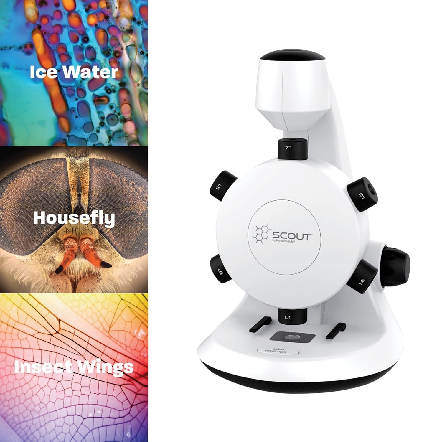 HamiltonBuhl Scout Digital Microscope - STEM Educational Kit with Six Lenses