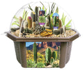 Toys By Nature Desert Biosphere Terrarium Kit - Complete Cacti & Succulent Grow Set