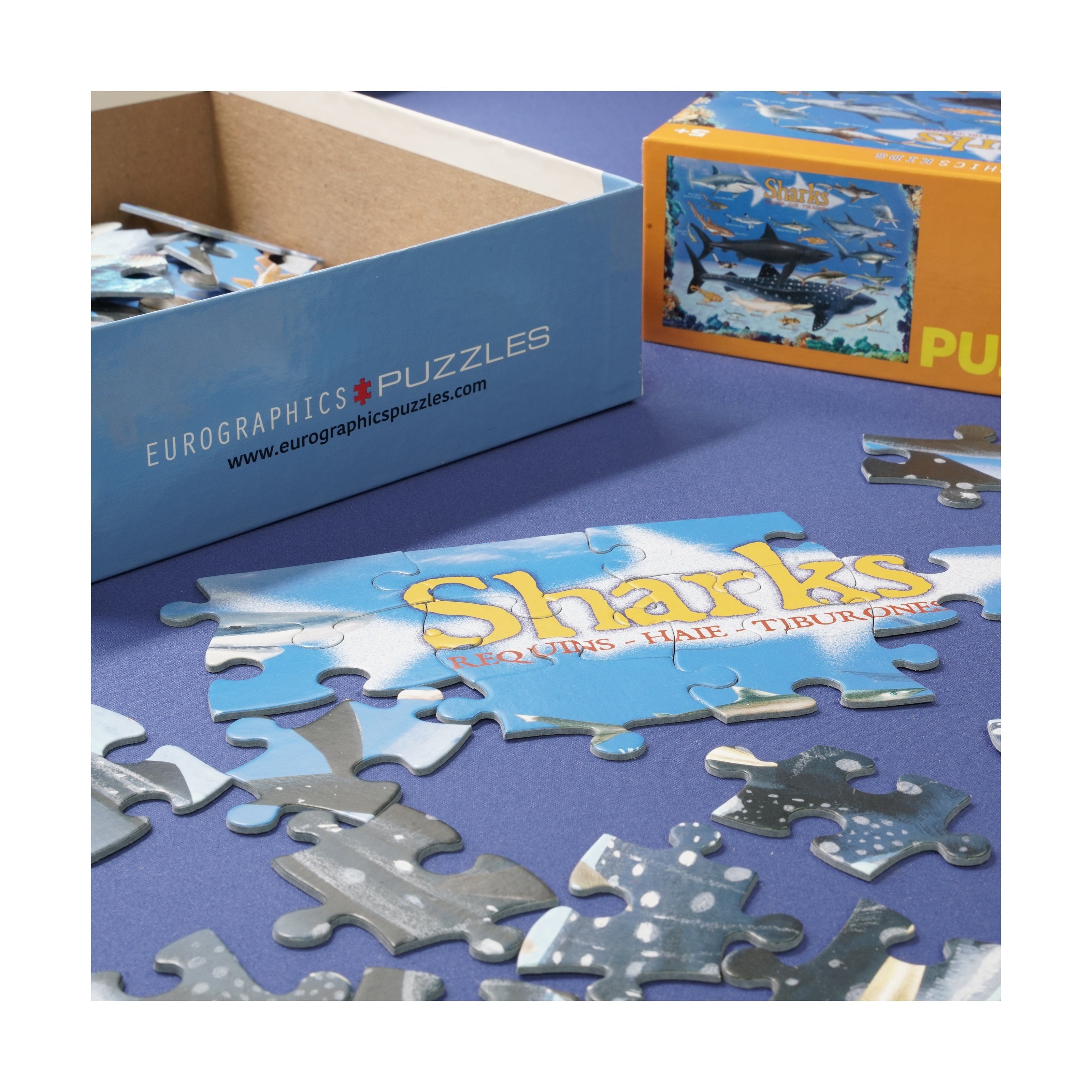 Smart Kids Collection Sharks 100-Piece Educational Jigsaw Puzzle