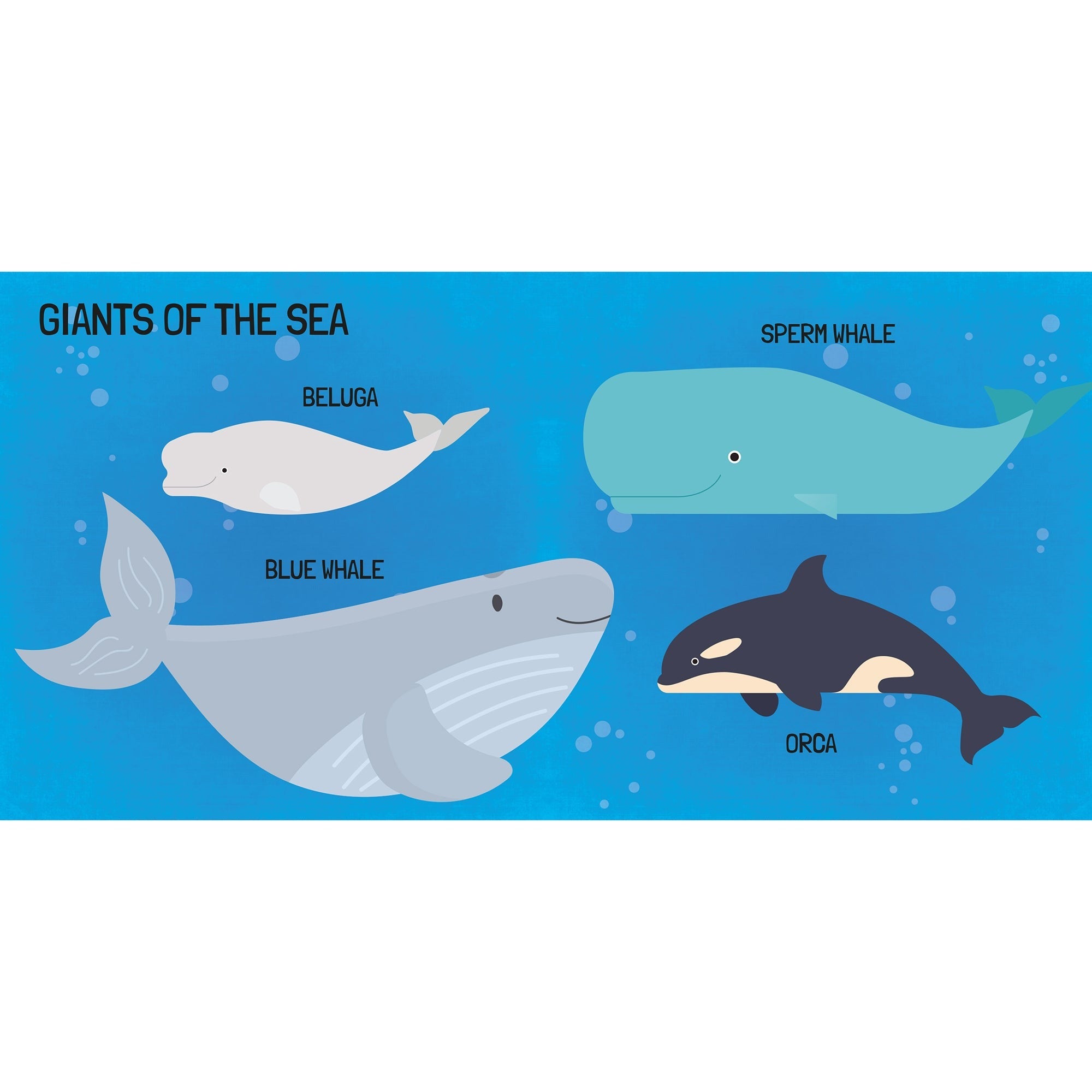 Q-Box Marine Adventure Puzzle Set - 40 pc