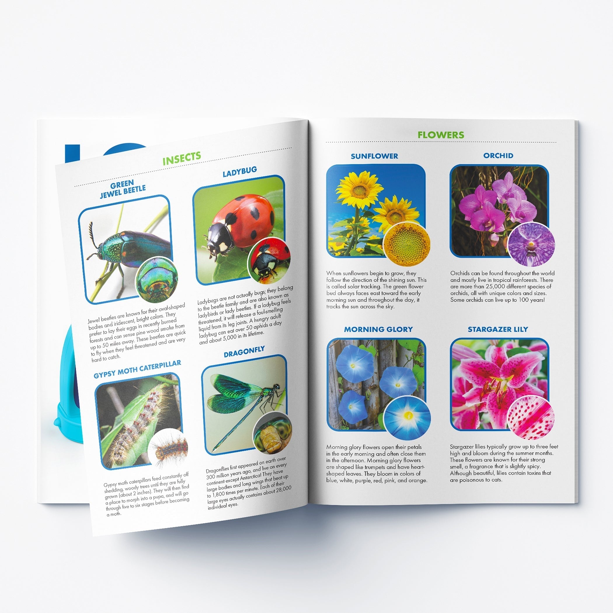 Educational Insights GeoSafari® Jr. KidscopeTM