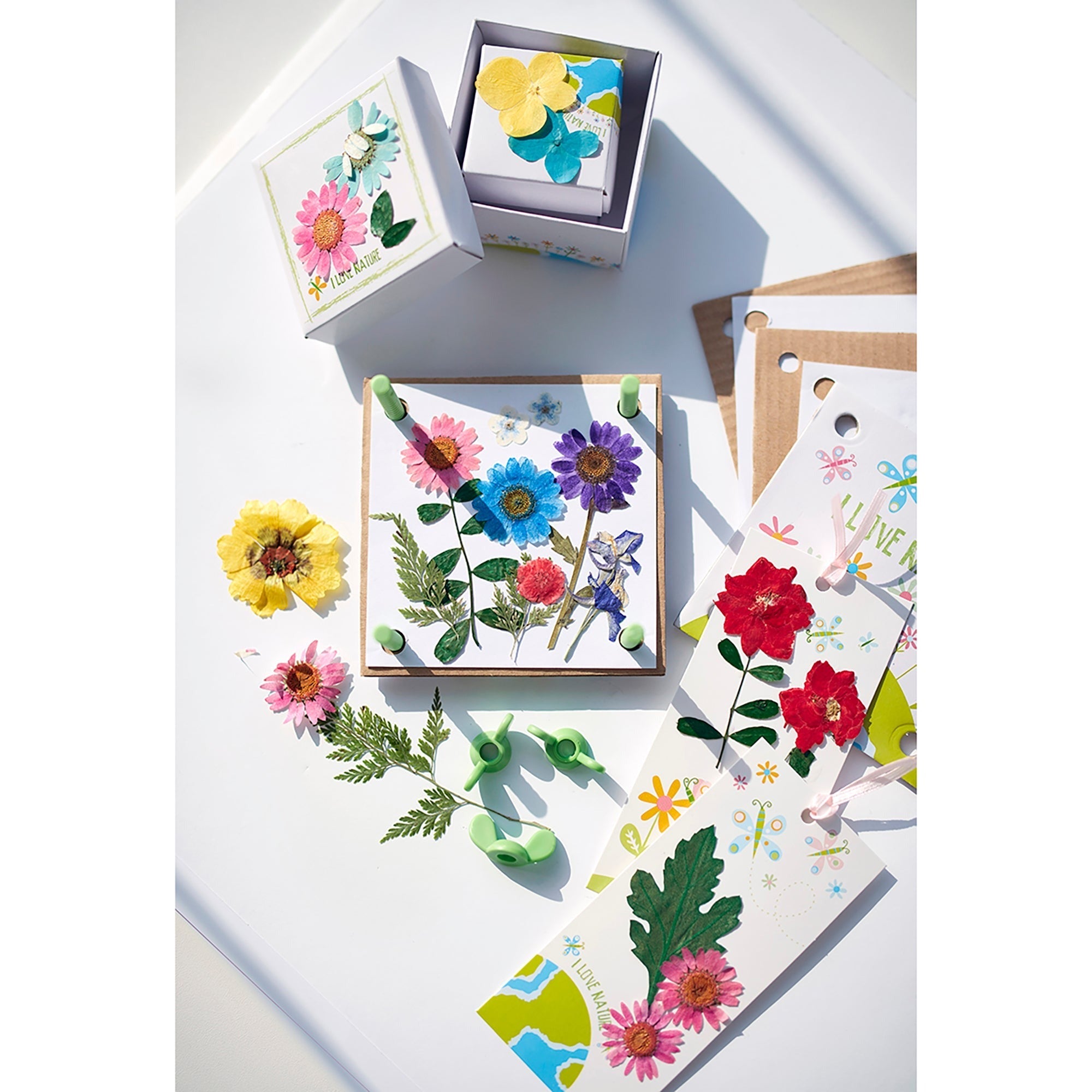 4M Green Creativity Pressed Flower Art Kit With 4-Inch Press