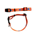 PETS R US Dog Collar