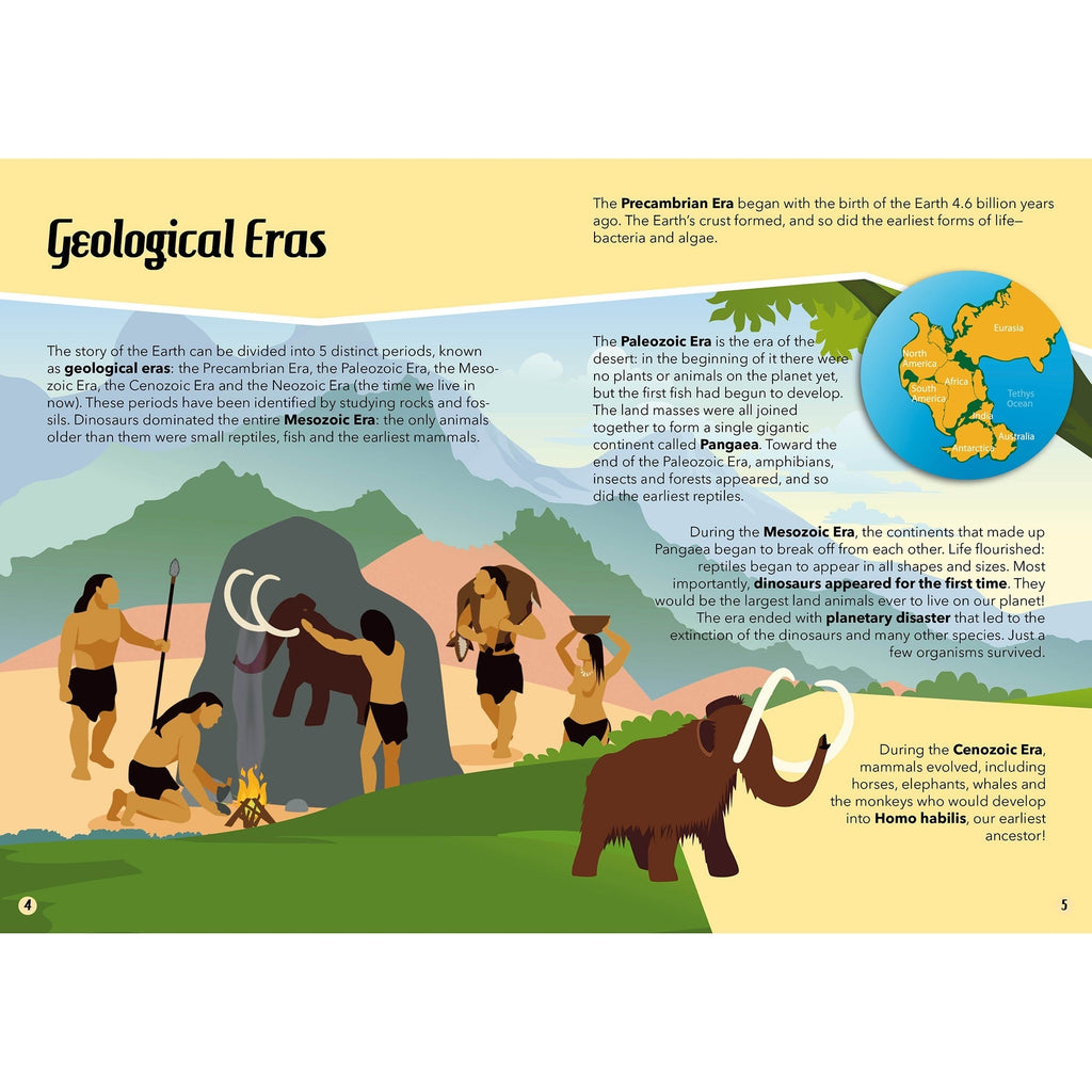 Jurassic Giants: Dinosaurs Discoveries Illustrated Book