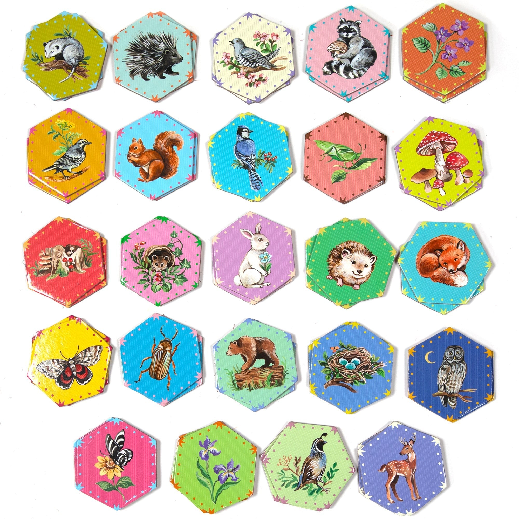eeBoo Life In A Meadow Memory & Matching Game With 24 Hexagonal Tiles