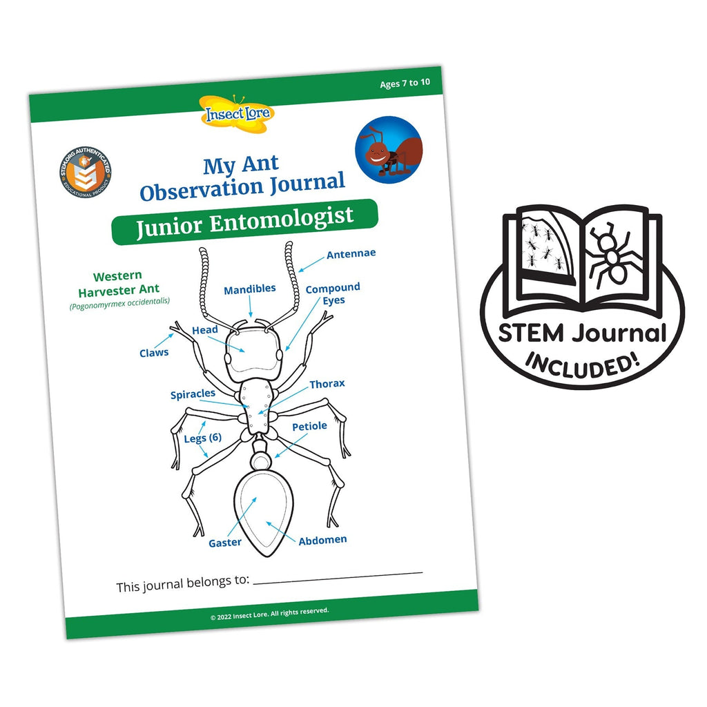 Insect Lore Ant Hill Ant Habitat – Interactive Science Kit