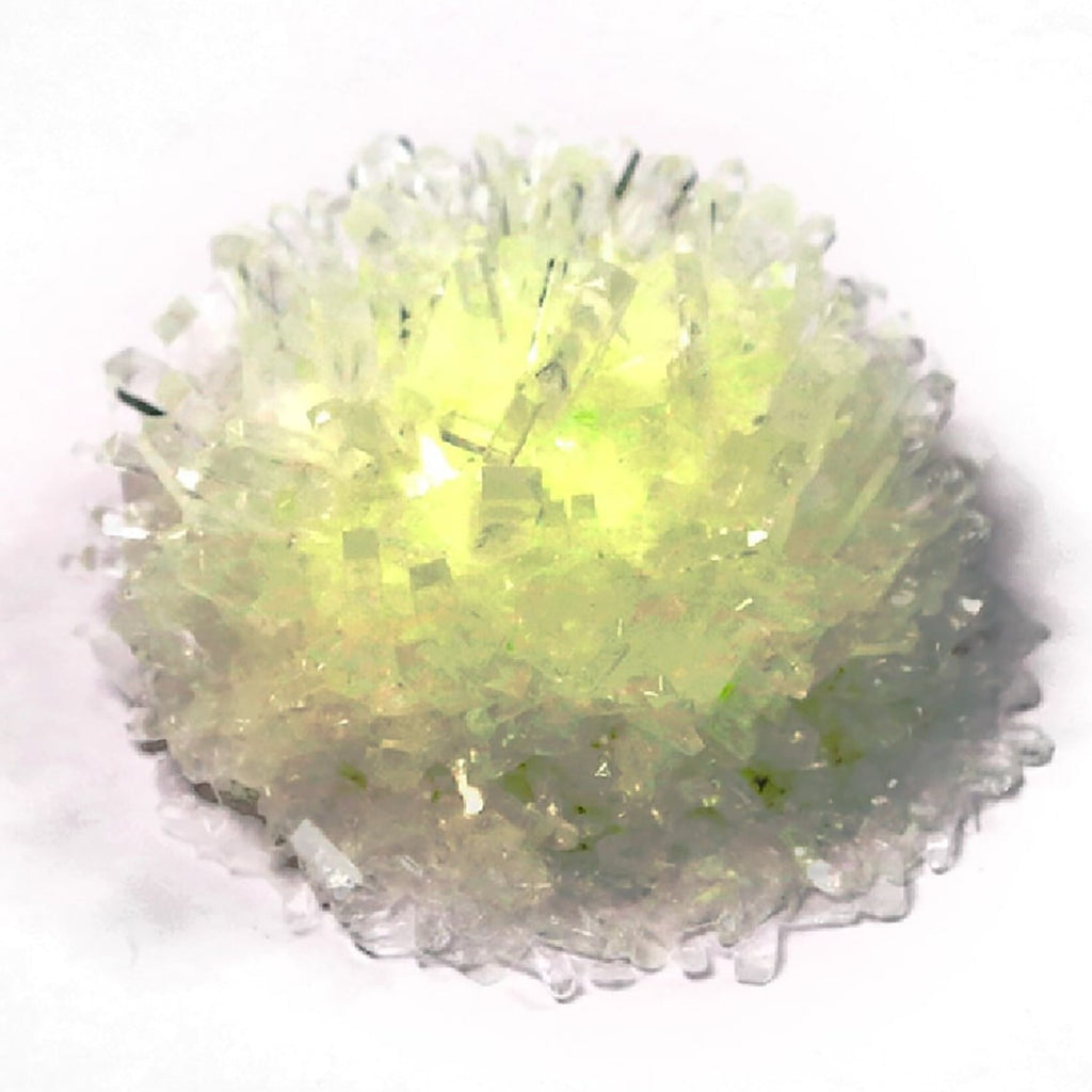 Glow Crystal Growing Chemistry Experiment Kit