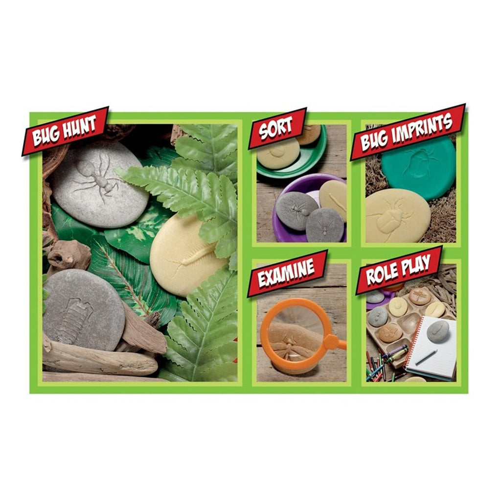 Yellow Door Let's Investigate Bugs Stone - Outdoor Learning - Pack of 8