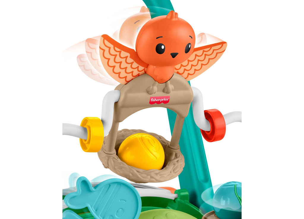 Fisher-Price Moves With You Turtle Walker With 5 Balls Push Toy