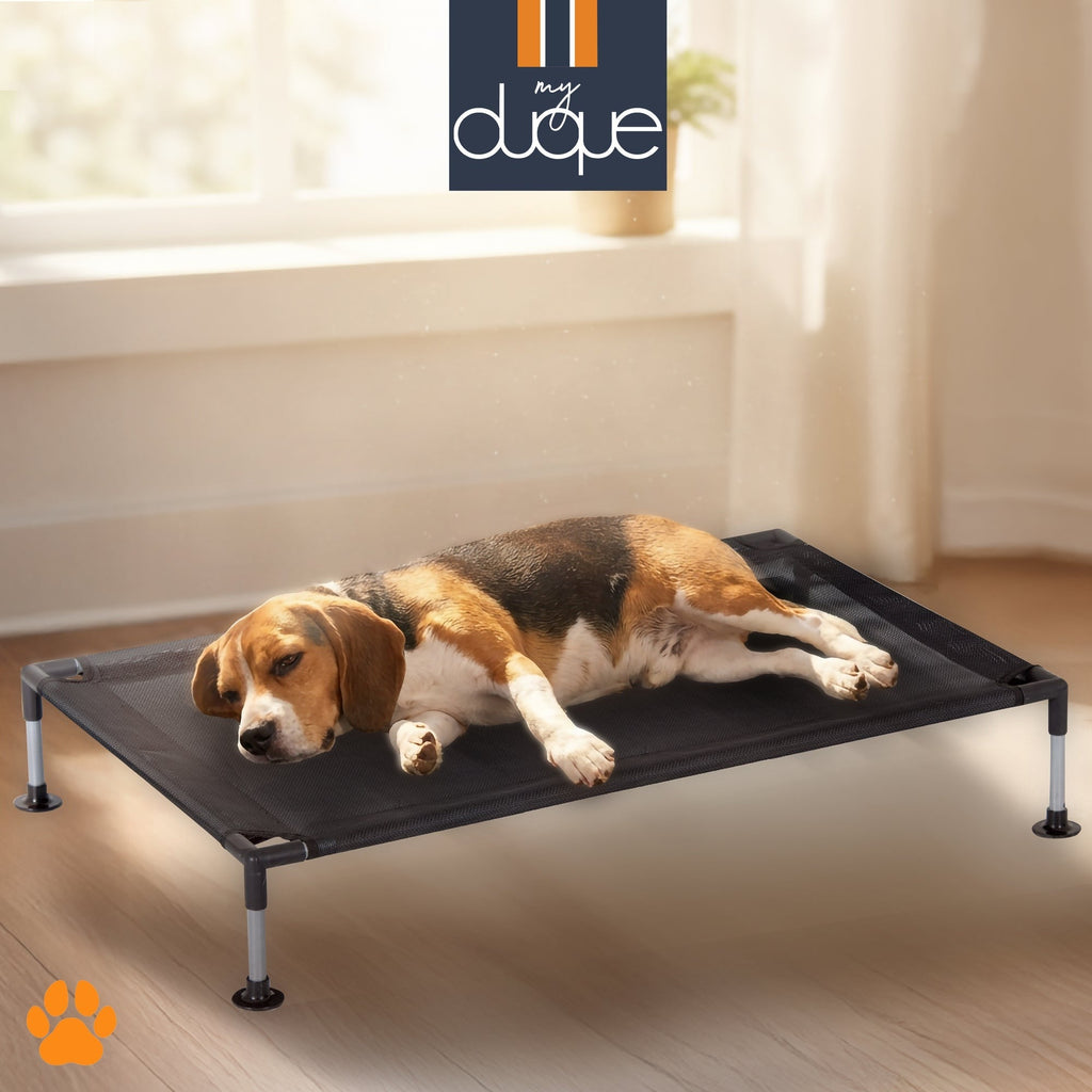 My Duque COOLA Elevated Dog Bed - Large, 35.5 x 23.5", Breathable Mesh, 55lb Capacity