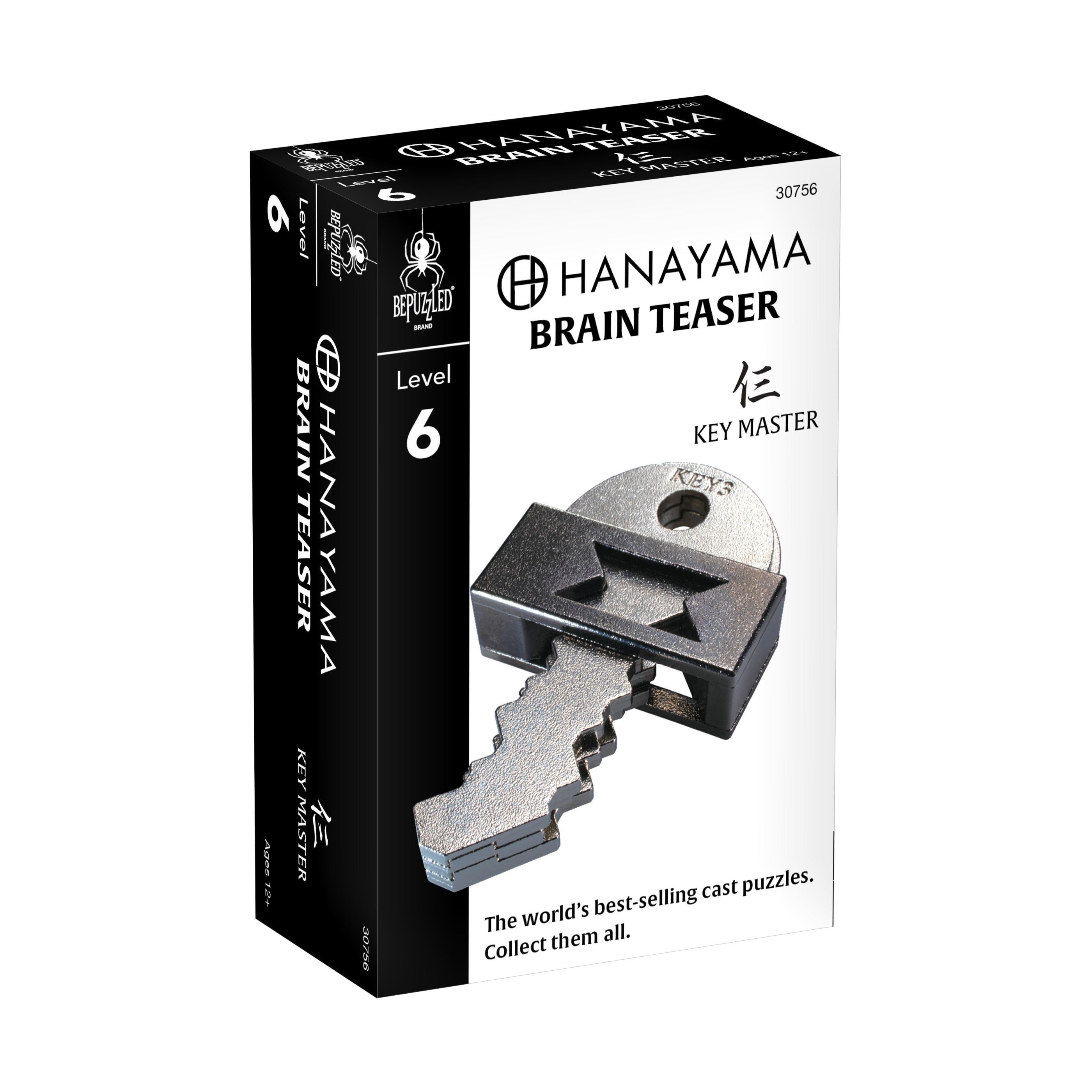 Hanayama Level 6 Cast Puzzle - Key Master Challenge