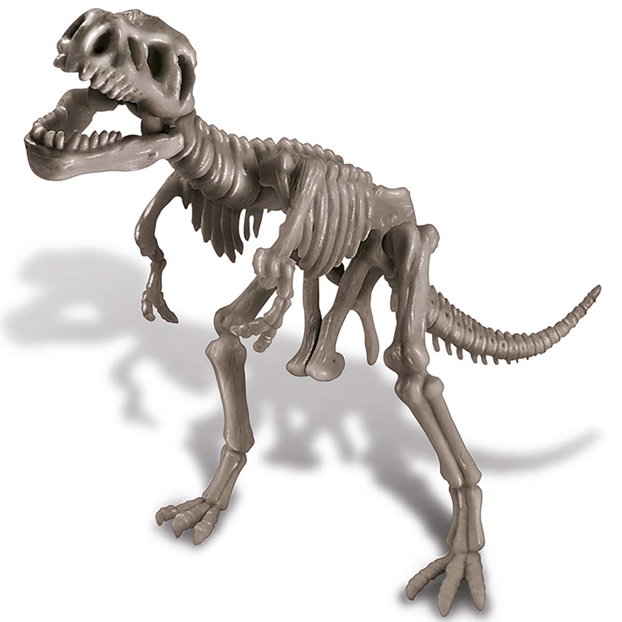 4M KidzLabs Dig A Dinosaur Skeleton T-Rex Excavation Kit With Display Stand