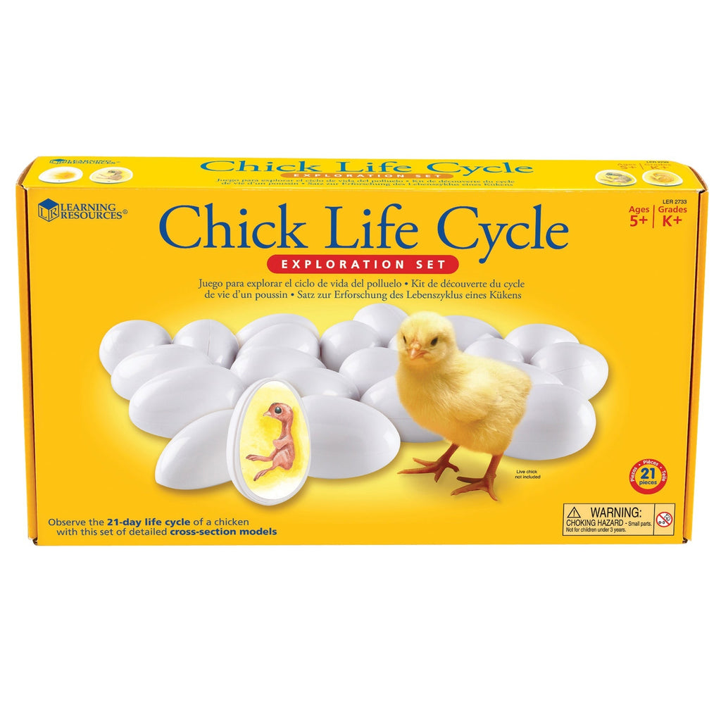 Learning Resources Chick Life Cycle Exploration Set - Educational Science Toy