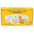 Learning Resources Chick Life Cycle Exploration Set - Educational Science Toy