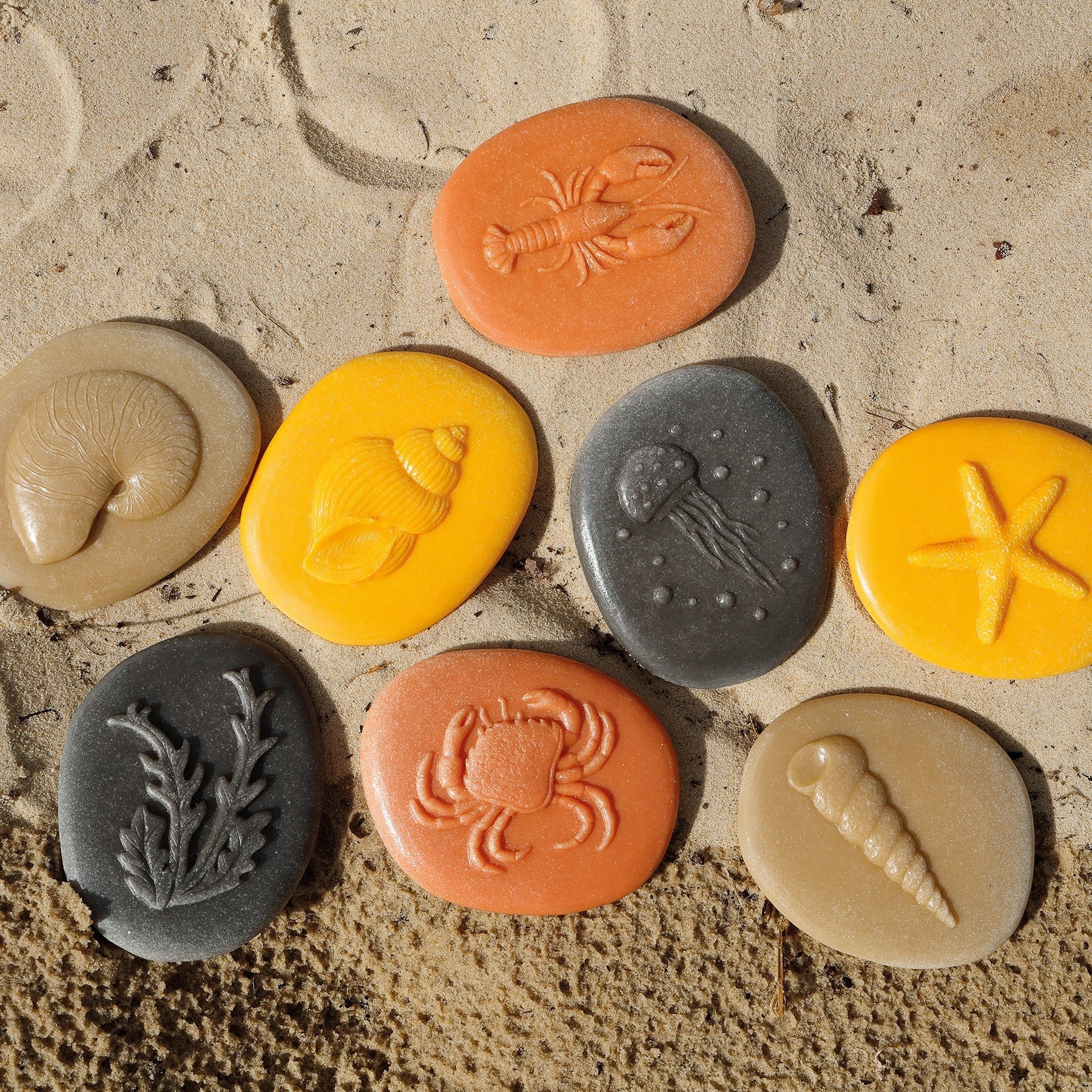 Yellow Door Let's Investigate - Seashore Exploration - Set of 8 Stone Figures