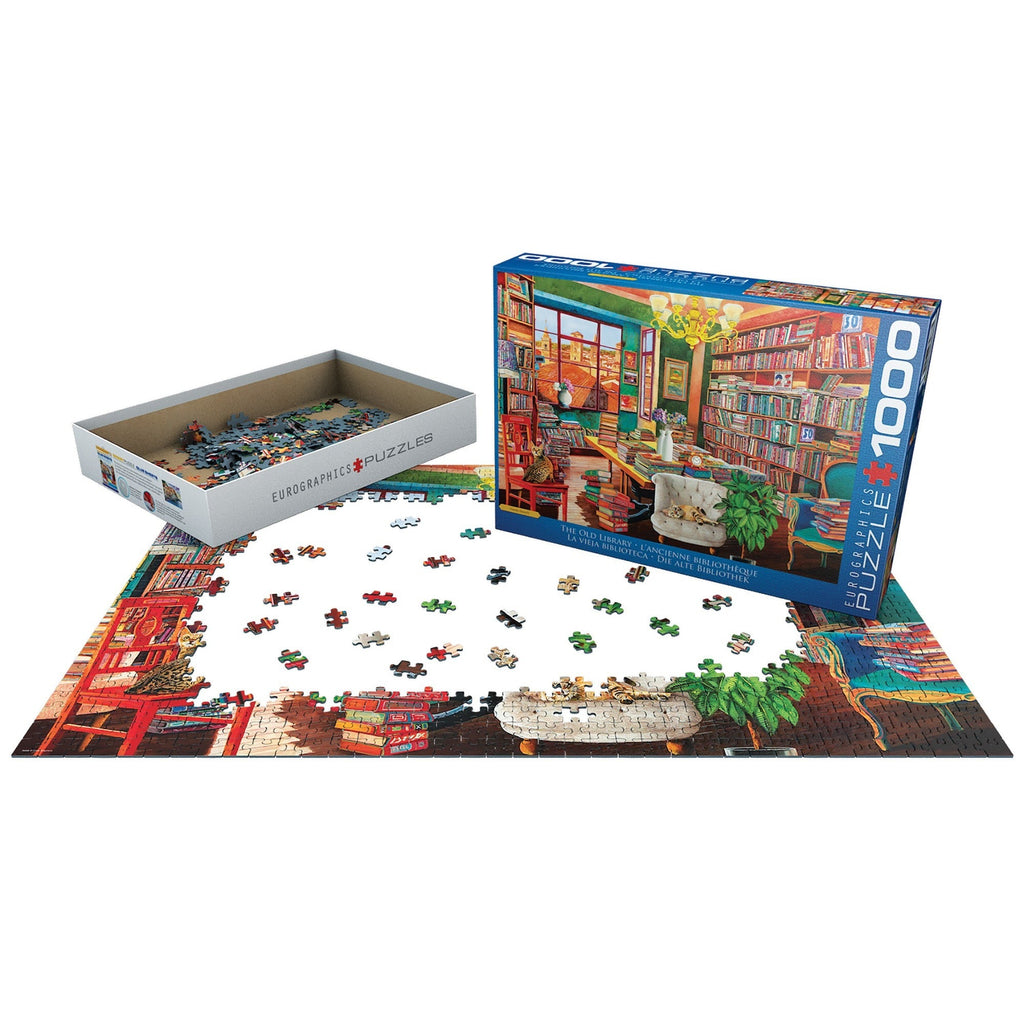 Eurographics The Old Library 1000-Piece Jigsaw Puzzle