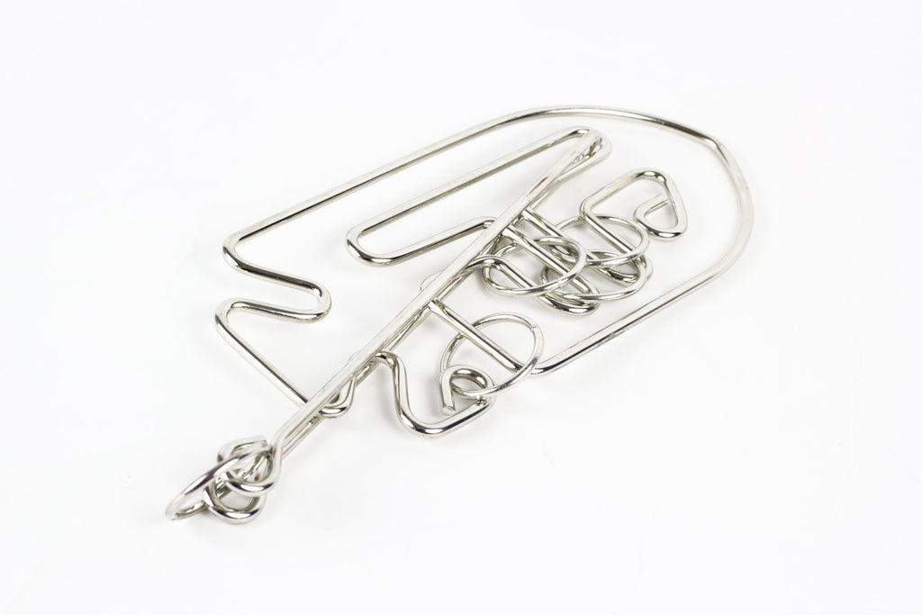 Professor Puzzle Einstein Collection Fish Metal Puzzle