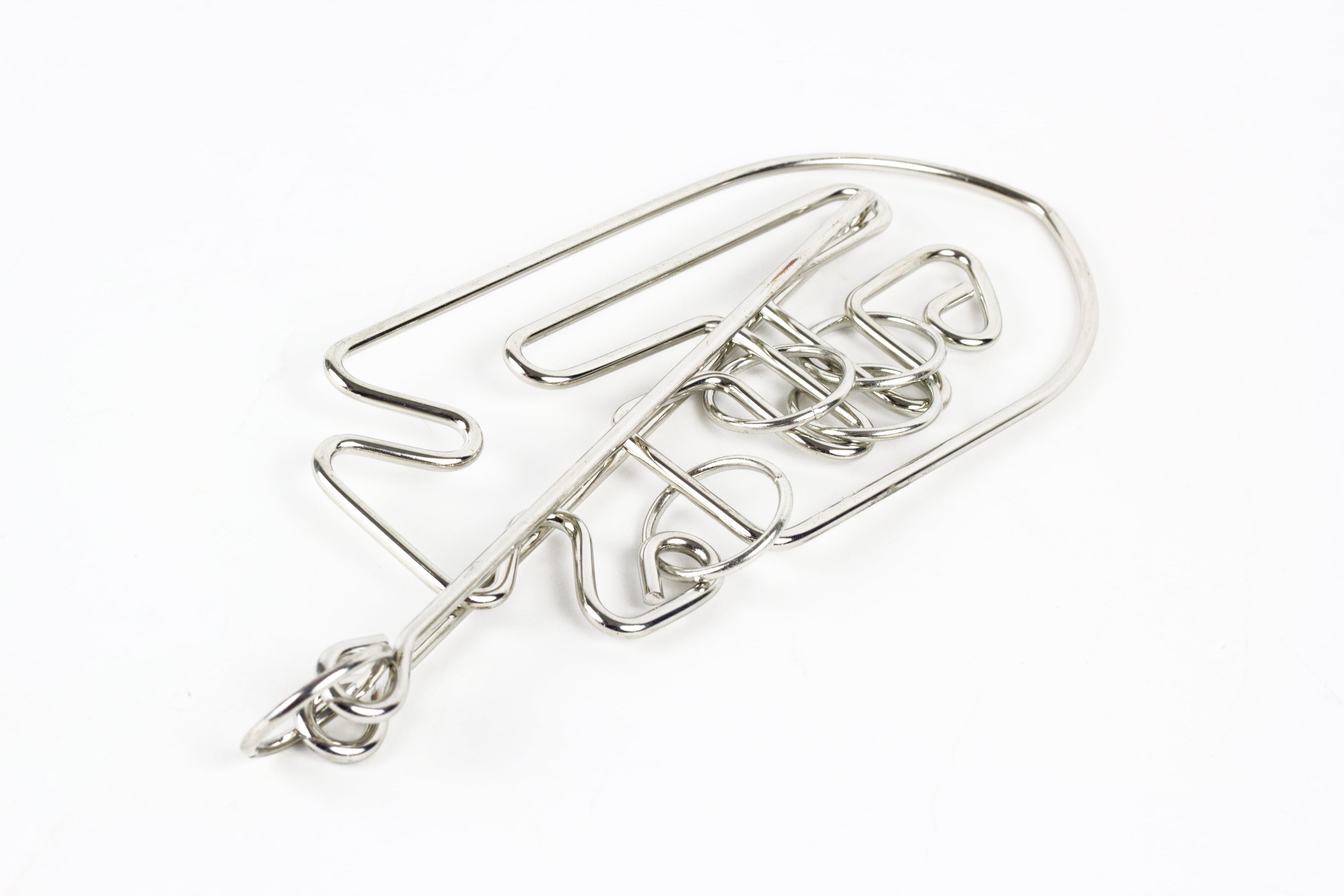 Professor Puzzle Einstein Collection Fish Metal Puzzle