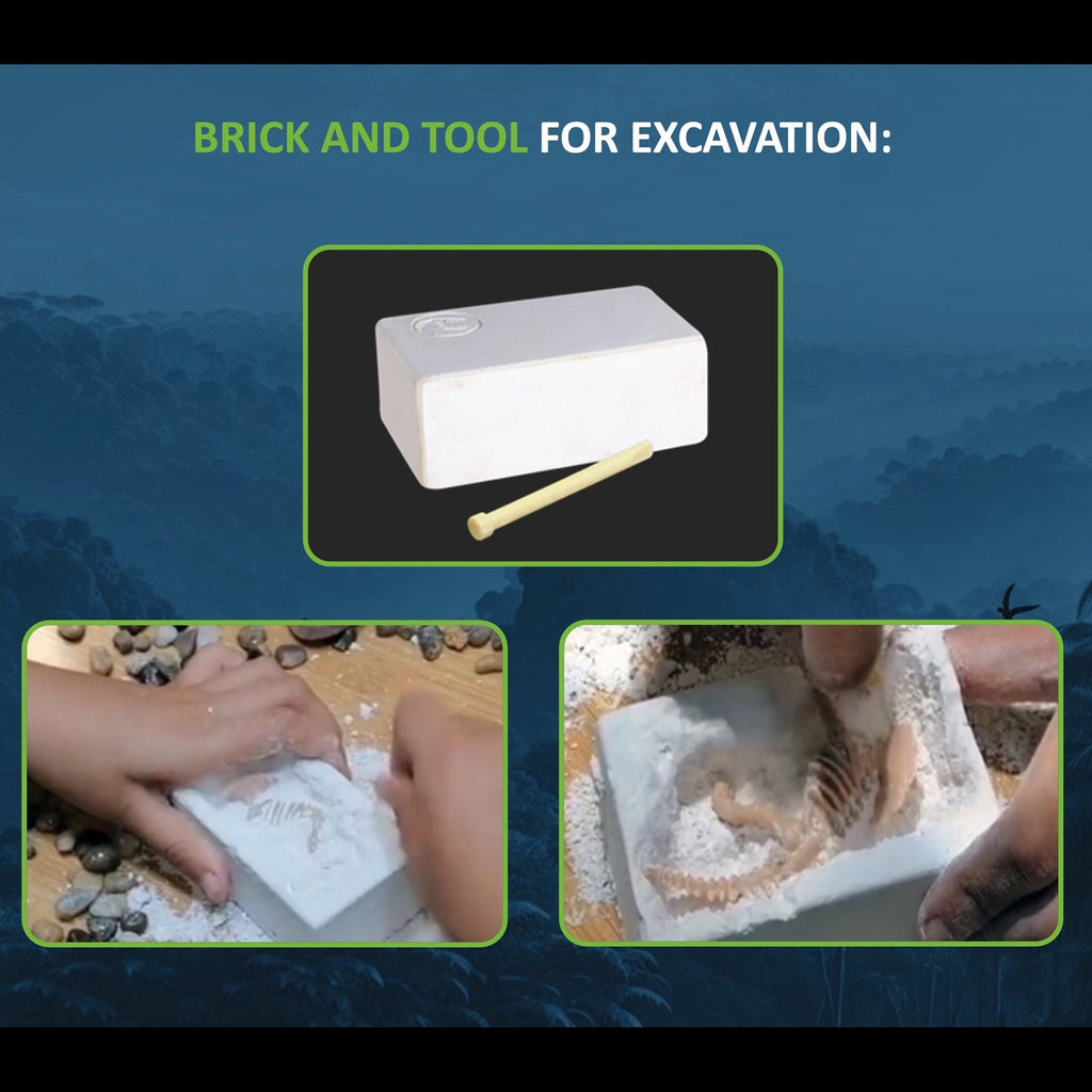 Dino Explorers: AR Dinosaur XL & Brick Combo - Velociraptor Sound Figure