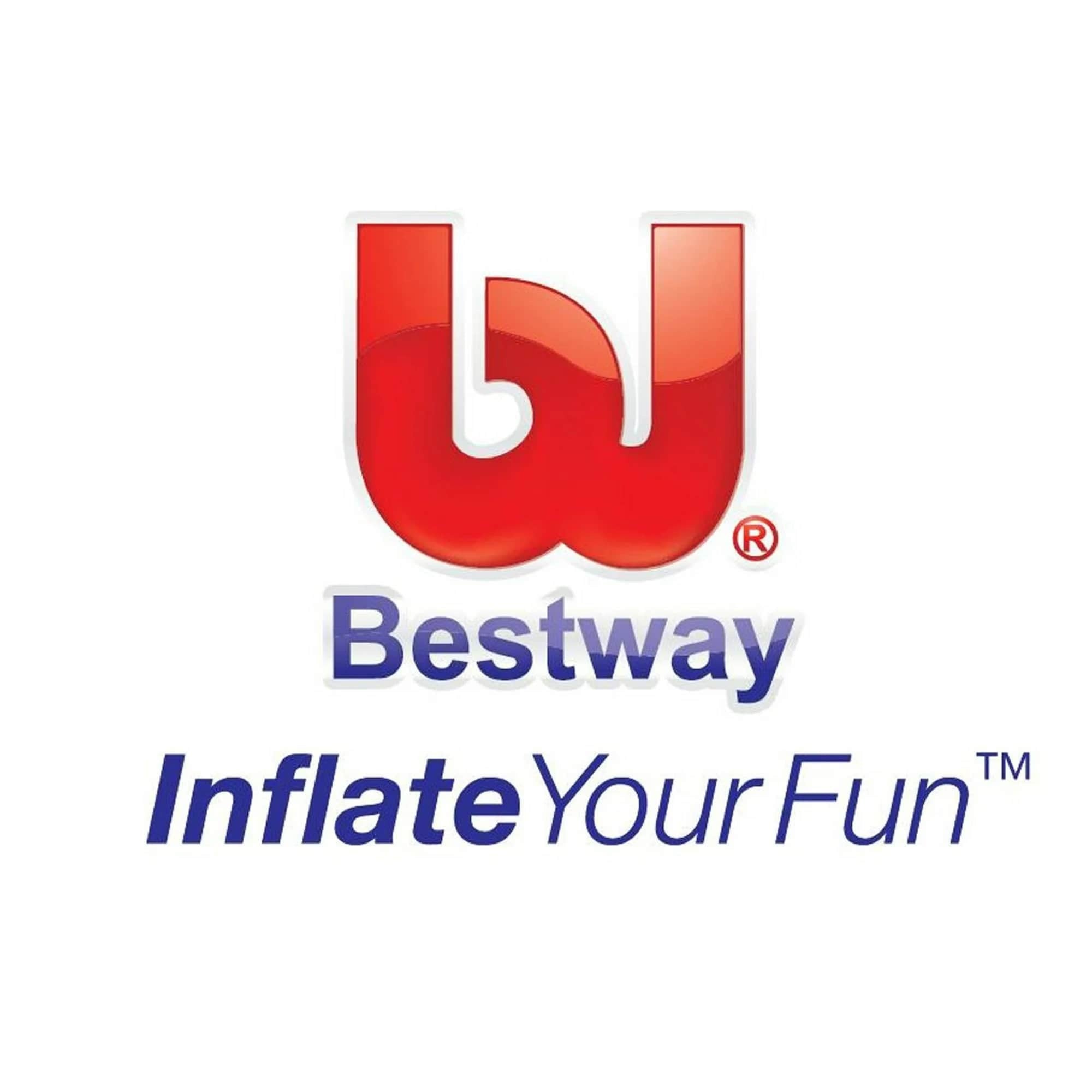 Bestway Sectional Aluminum Oars, 57 inch - Silver Dual-Purpose Paddles