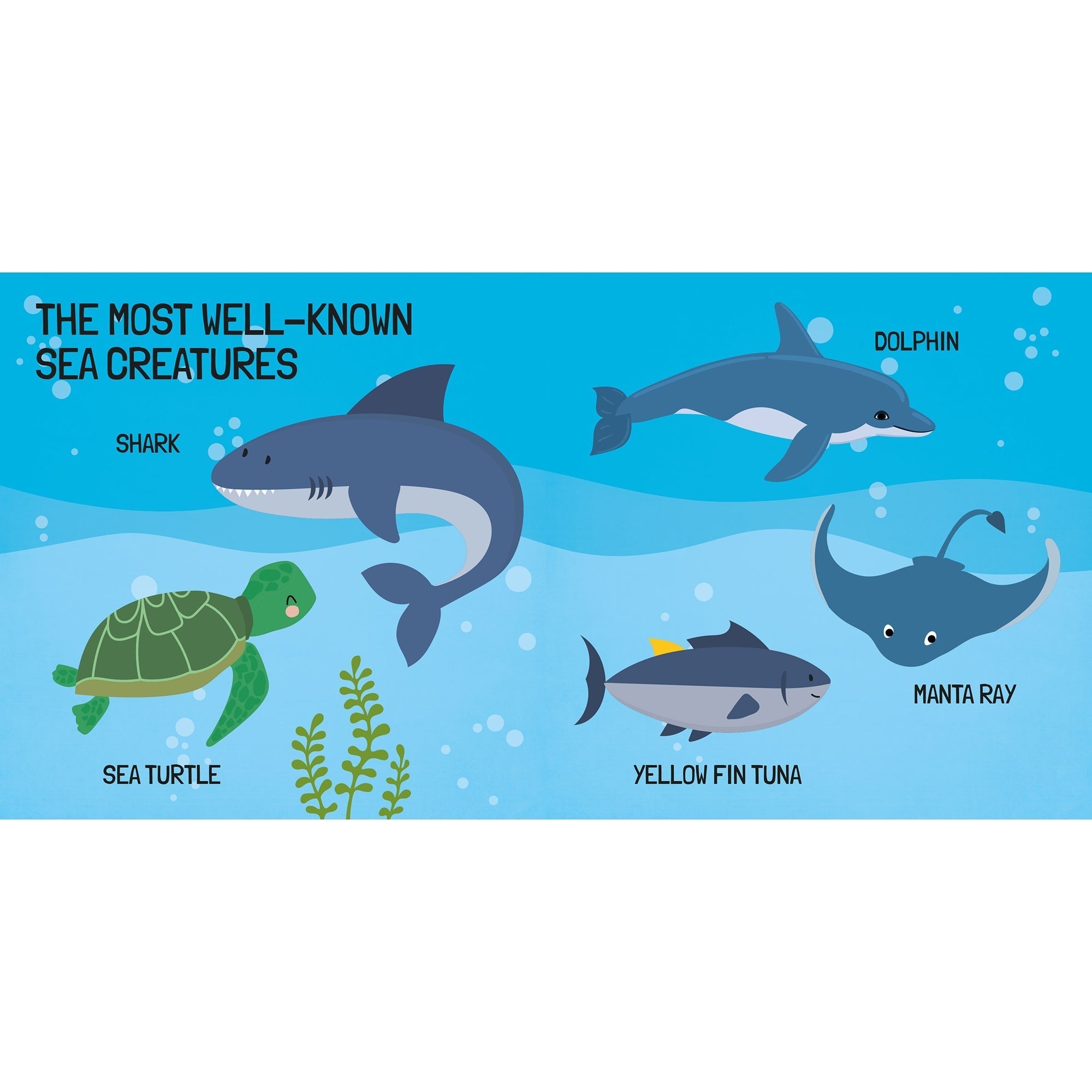 Q-Box Marine Adventure Puzzle Set - 40 pc