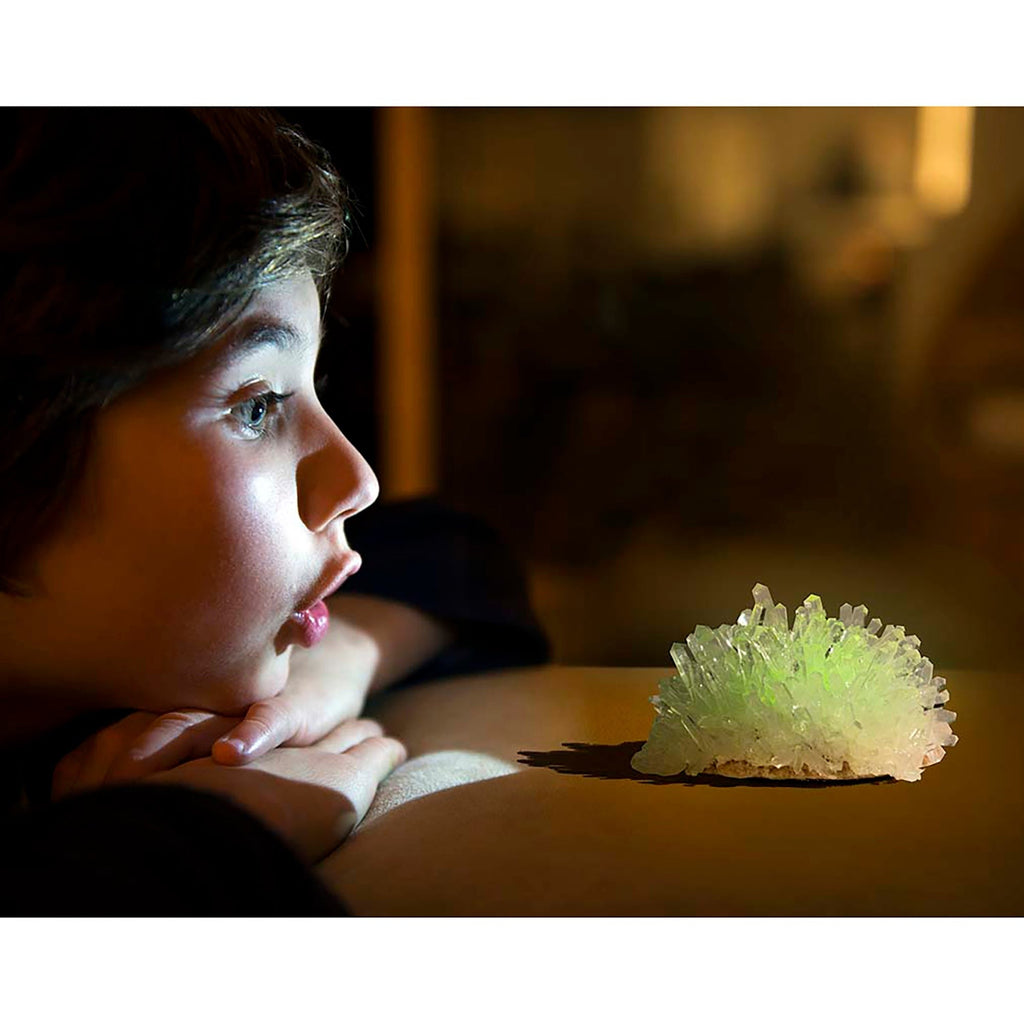 Glow Crystal Growing Chemistry Experiment Kit