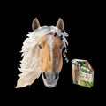Madd Capp I AM HORSE Unique-Shaped 300-Piece Jigsaw Puzzle