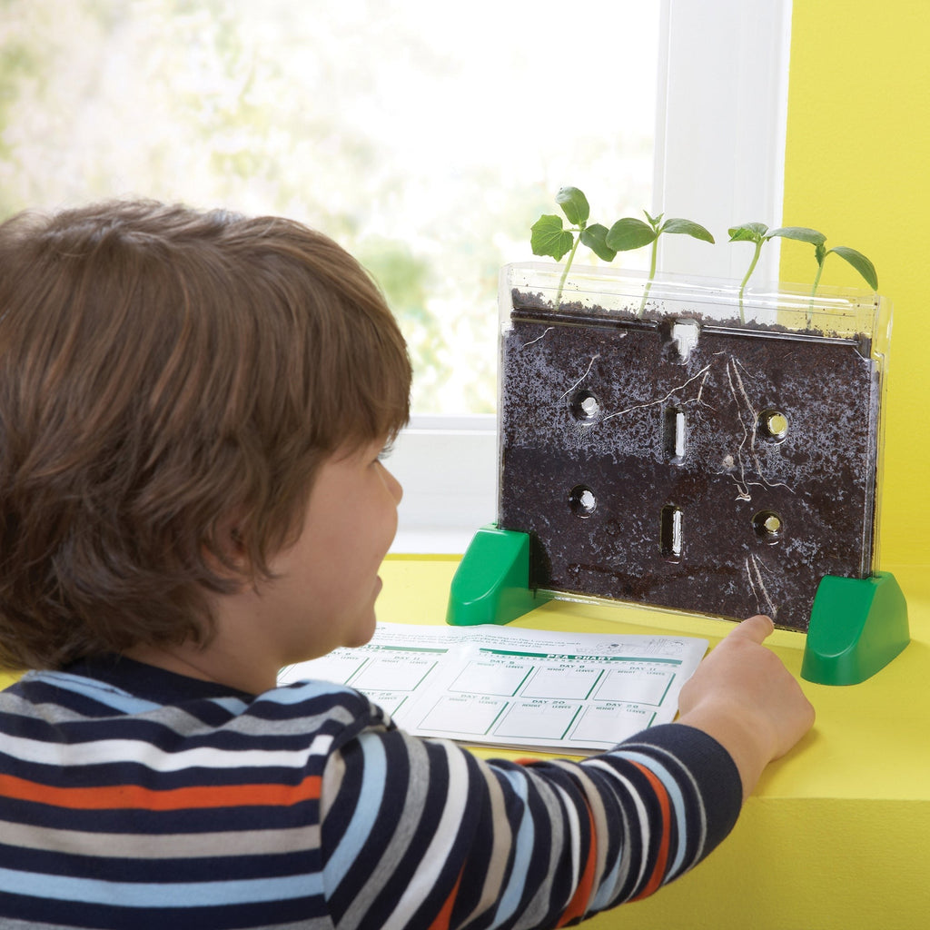 Educational Insights Sprout & Grow Window Plant Science Kit